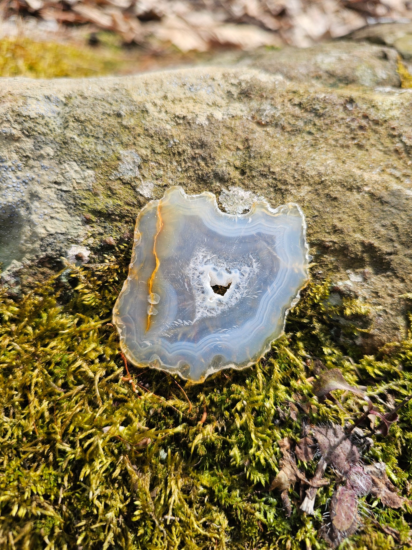 Iris Agate Slice. Crystal Home Decor - EarthyElementStudio