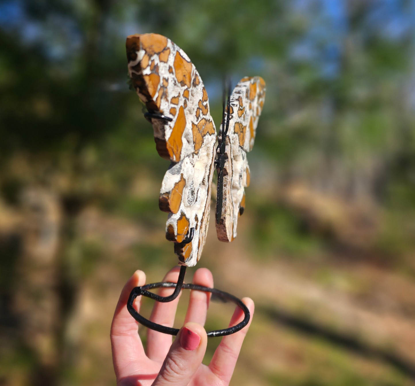 Brecciated Jasper Butterfly Carving. Crystal Home Decor. - EarthyElementStudio