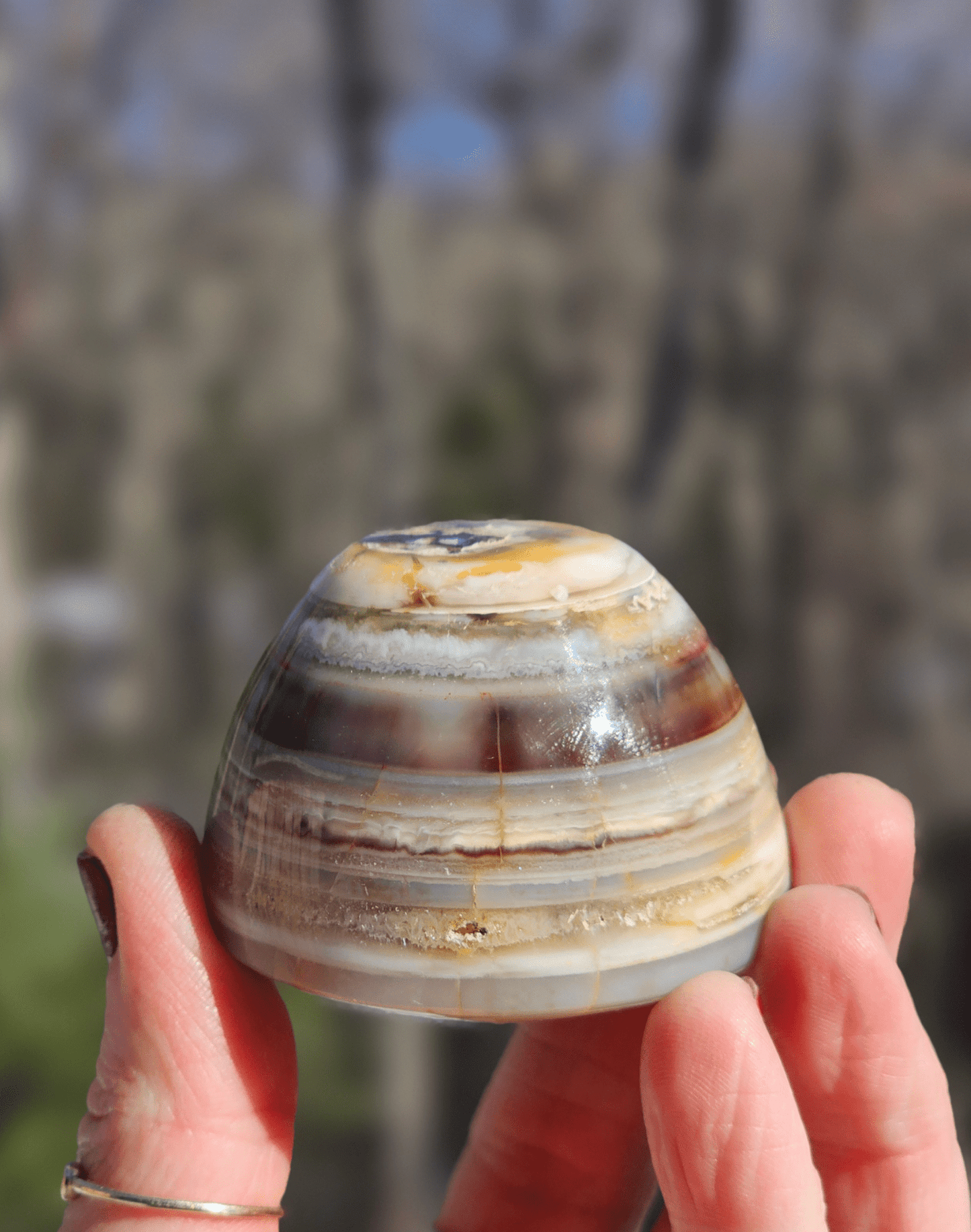Large Sardonyx Agate. Eye of Shiva - EarthyElementStudio