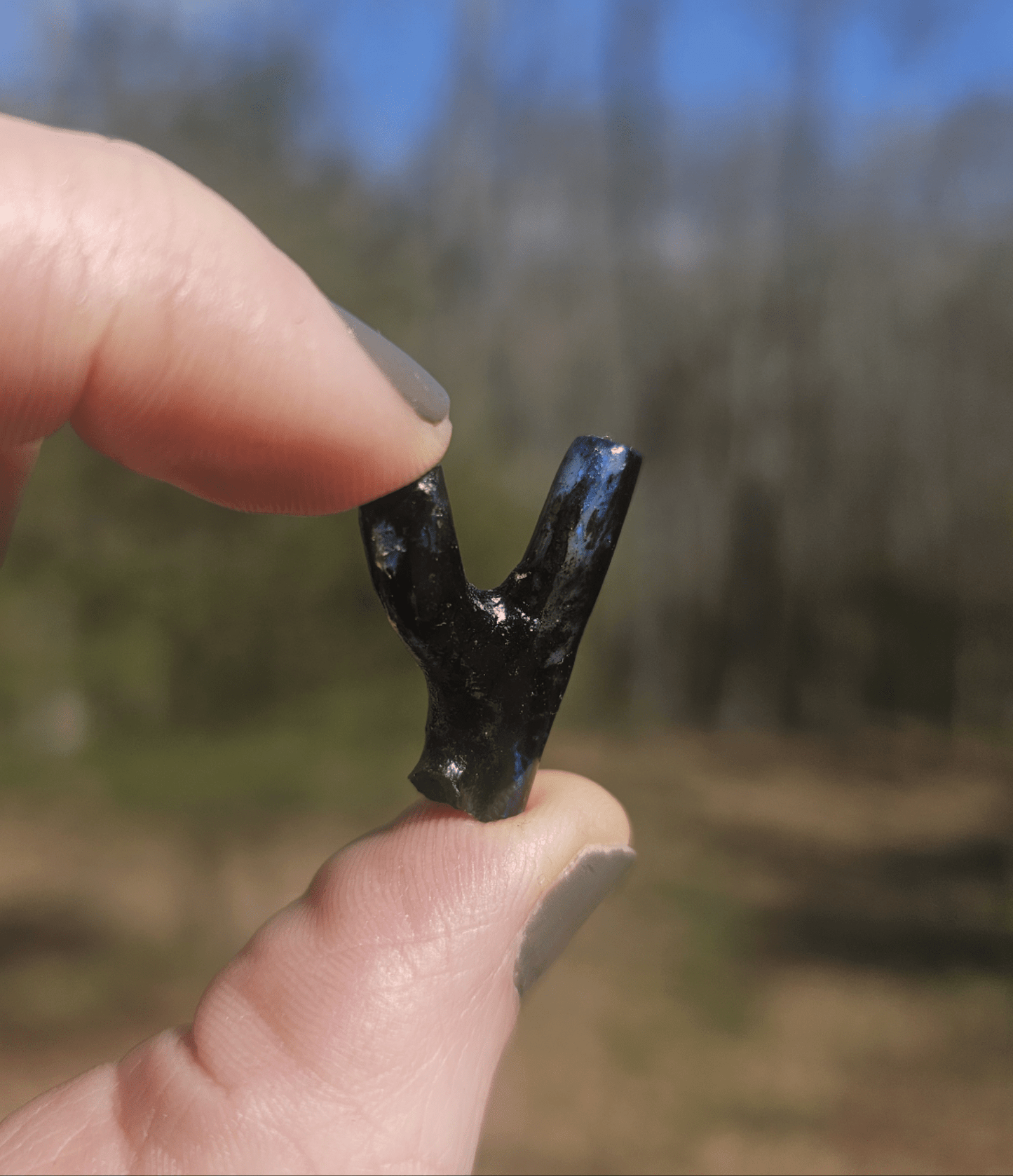 Incredibly Rare Opalized Branch PIECE. - EarthyElementStudio
