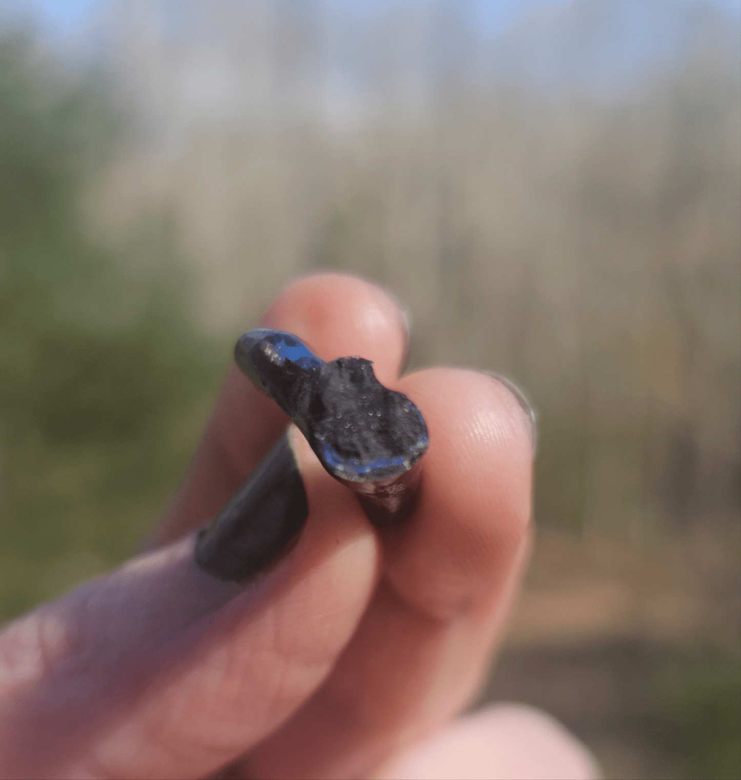 Incredibly Rare Opalized Branch PIECE. - EarthyElementStudio
