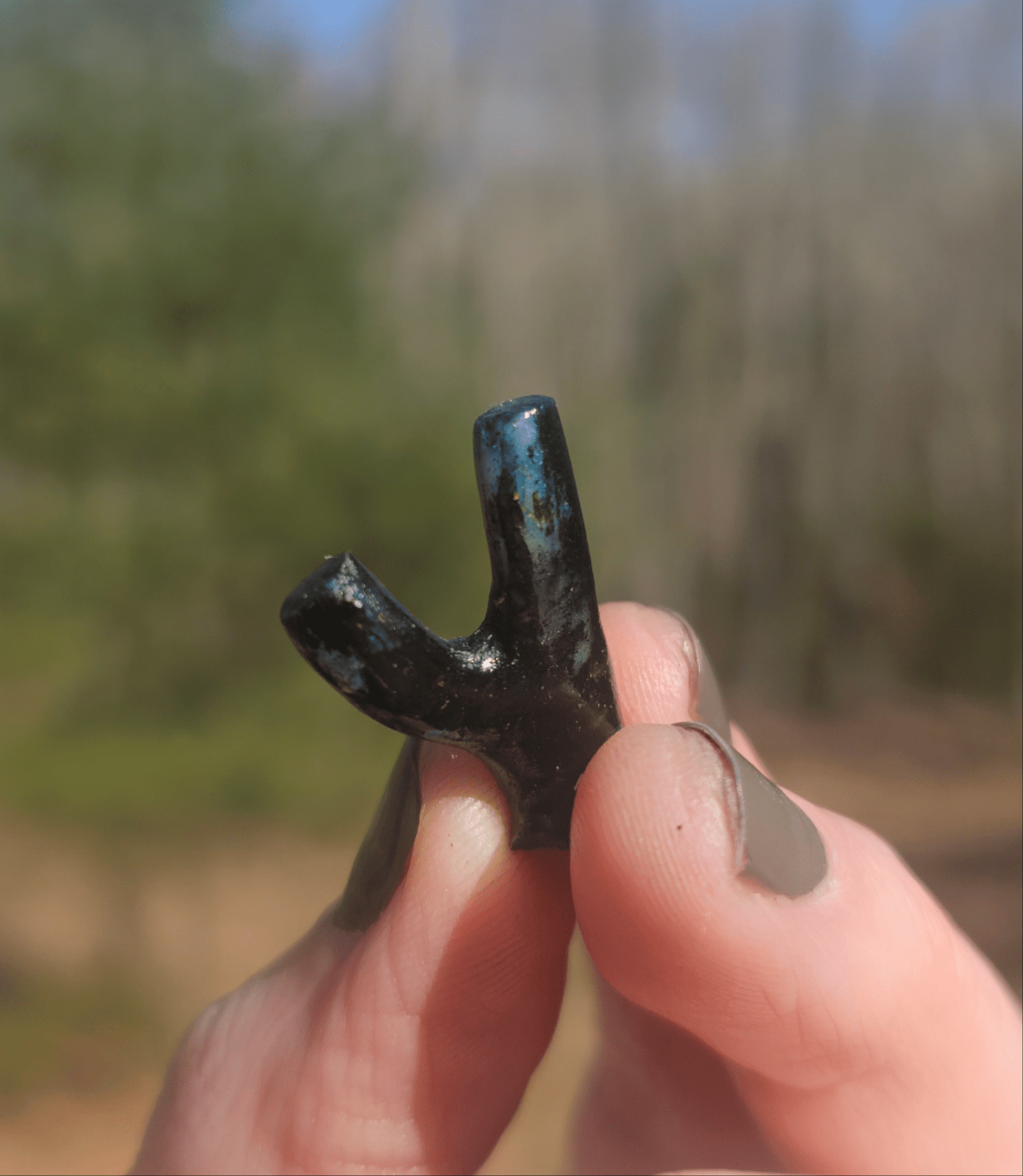 Incredibly Rare Opalized Branch PIECE. - EarthyElementStudio