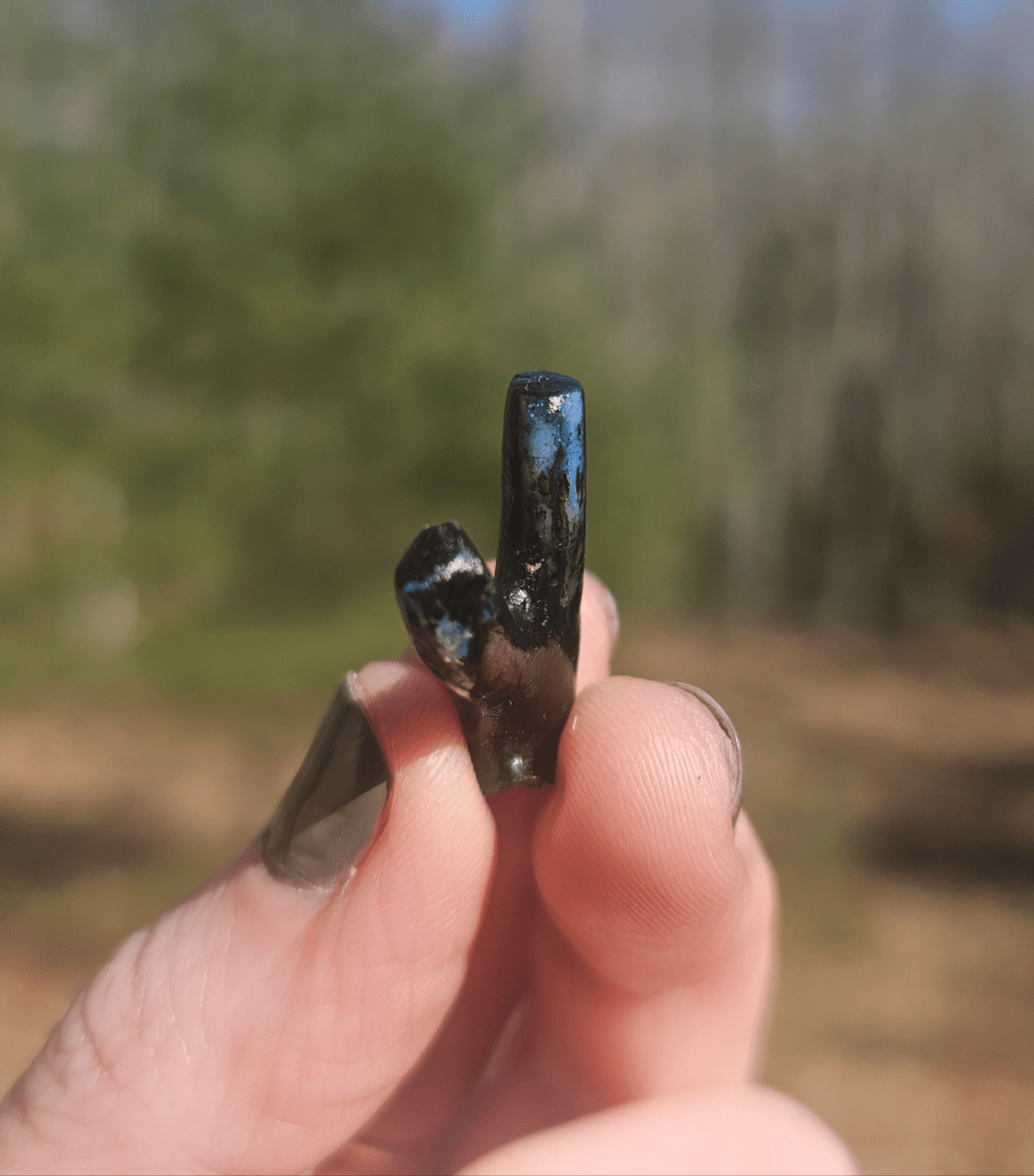 Incredibly Rare Opalized Branch PIECE. - EarthyElementStudio
