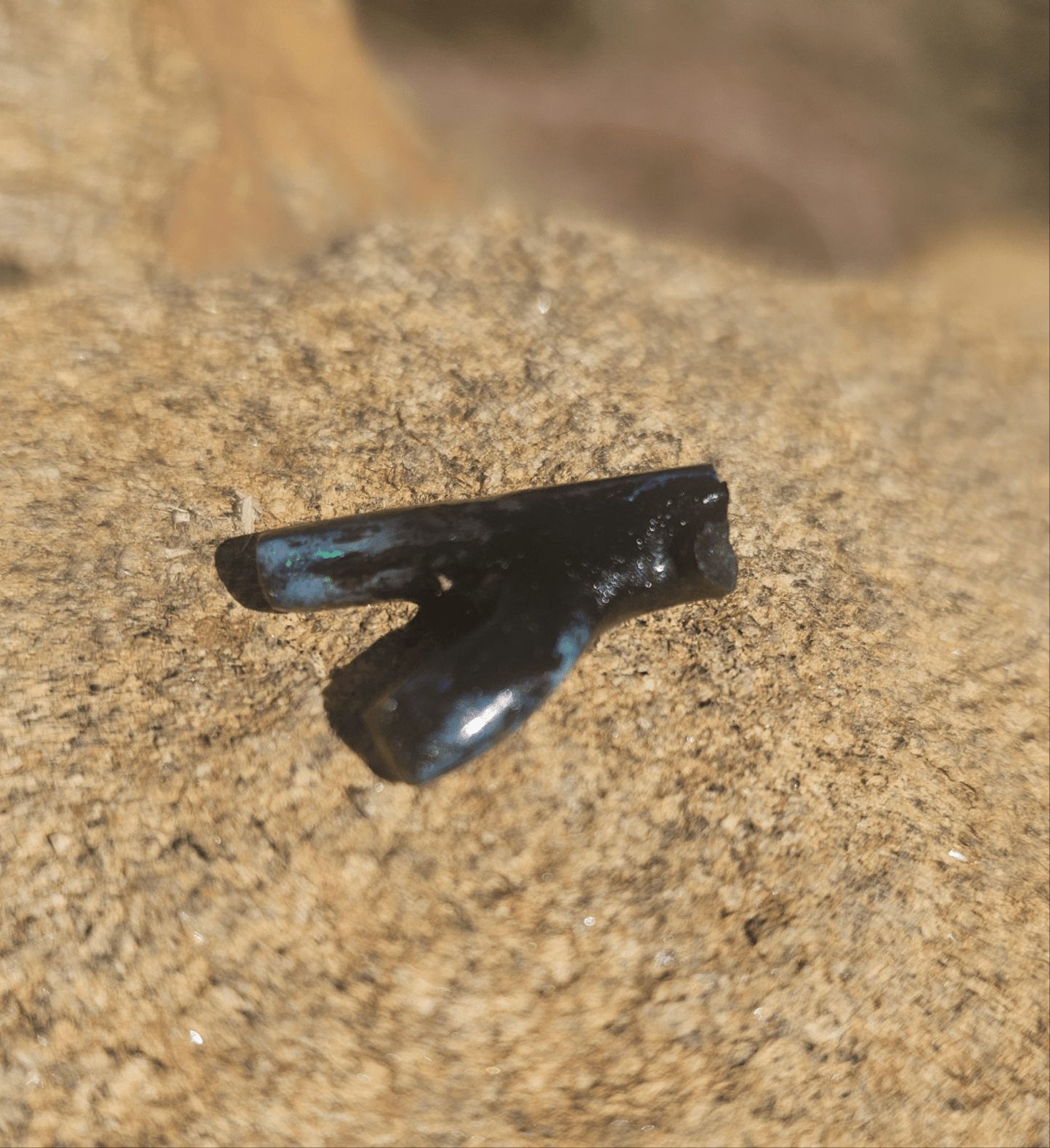 Incredibly Rare Opalized Branch PIECE. - EarthyElementStudio