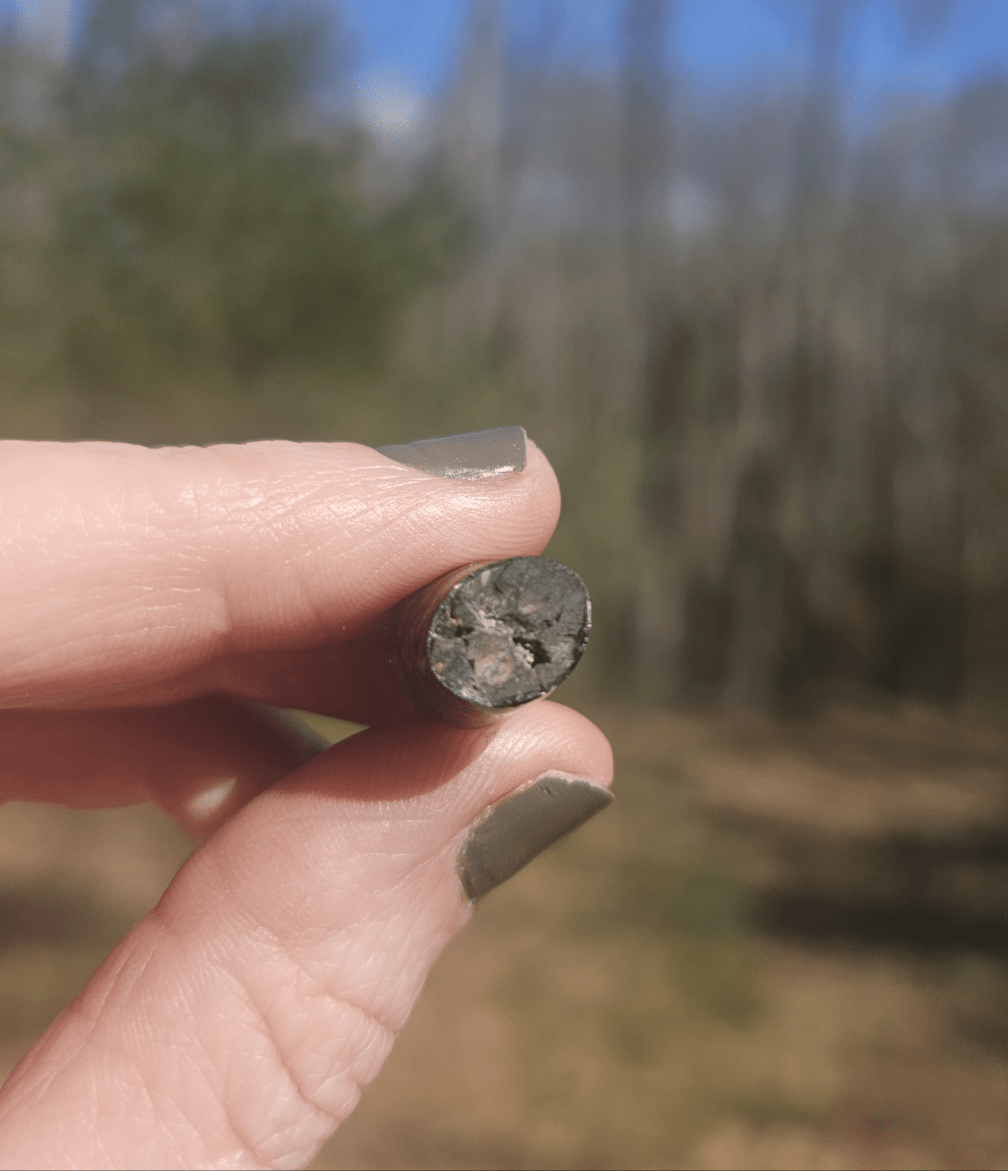 Opalized Petrified Branch PIECE. - EarthyElementStudio