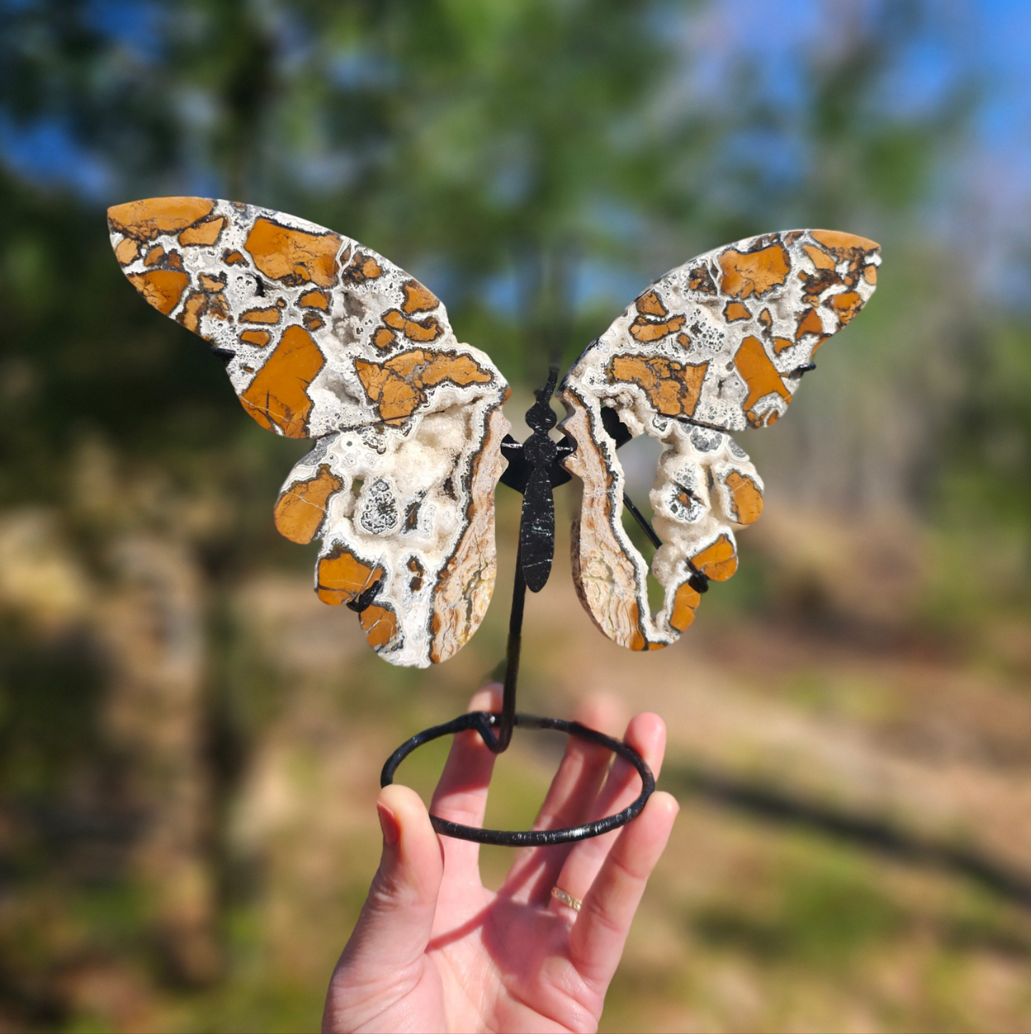 Brecciated Jasper Butterfly Carving. Crystal Home Decor. - EarthyElementStudio