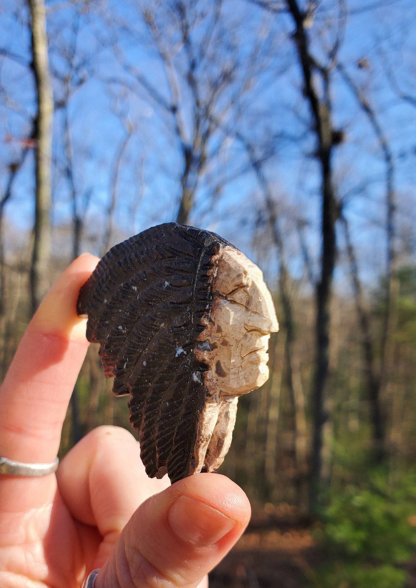 Hand Carved Petrified Wood Chief. Native American Stone Carving. Fossilized Wood. - EarthyElementStudio