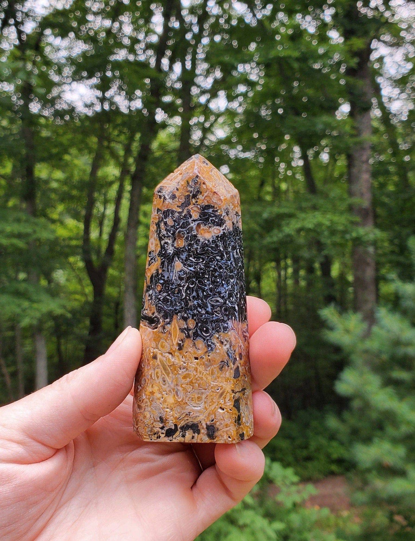 Fossilized Palmroot Tower. Fossilized Wood. Polished Crystal. Natural Black Point. Grounding Stone. - EarthyElementStudio