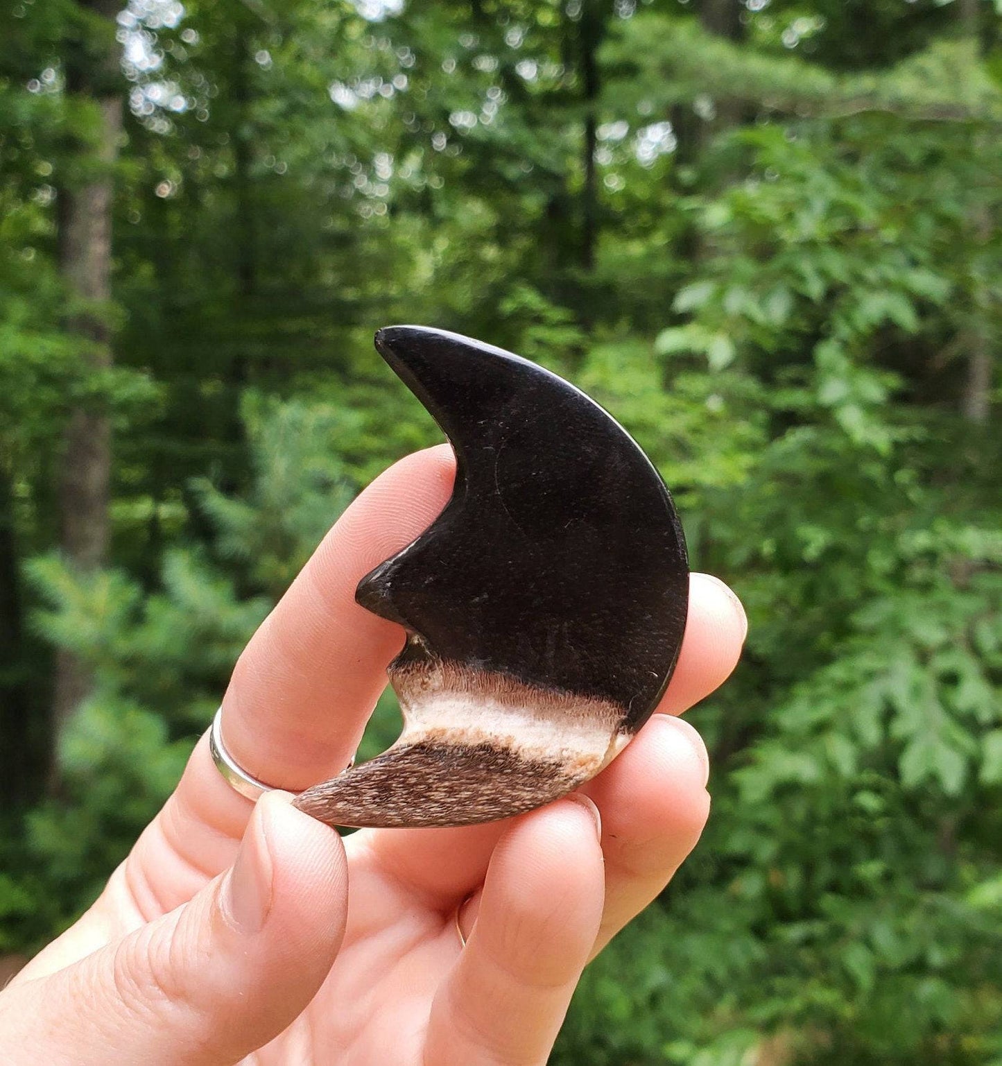 Hand Carved Petrified Wood Moon. Moon with Face. Fossilized Wood. Moon Palmstone. Meditation tool. Wood Carving. - EarthyElementStudio