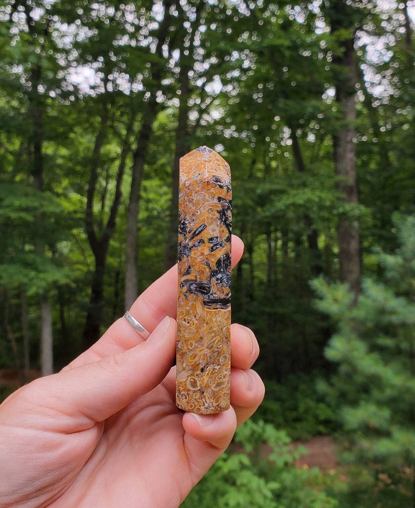Fossilized Palmroot Tower. Fossilized Wood. Polished Crystal. Natural Black Point. Grounding Stone. - EarthyElementStudio