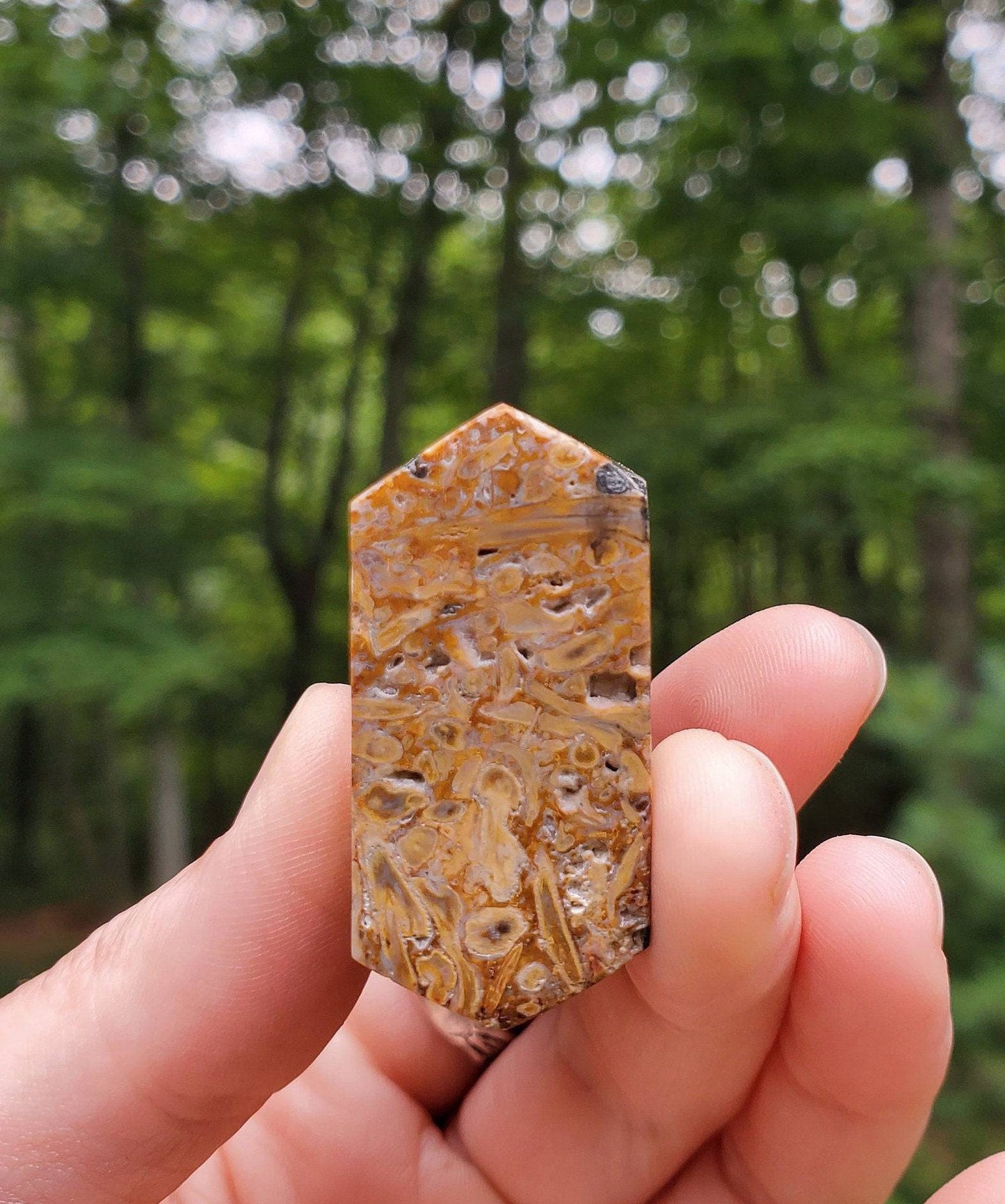 Fossilized Palmroot Tower. Fossilized Wood. Polished Crystal. Natural Black Point. Grounding Stone. - EarthyElementStudio
