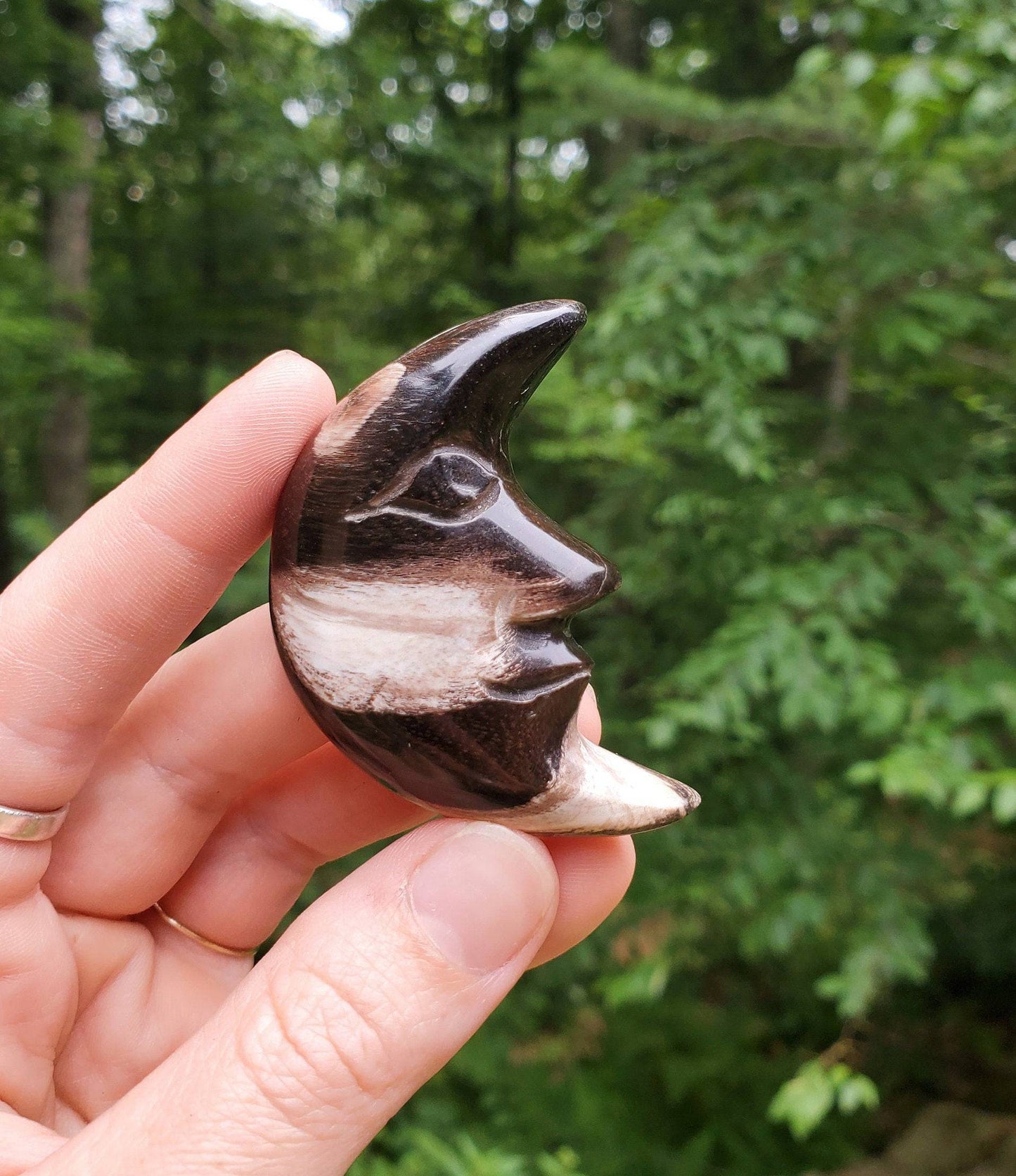 Hand Carved Petrified Wood Moon. Moon with Face. Fossilized Wood. Moon Palmstone. Meditation tool. Wood Carving. - EarthyElementStudio