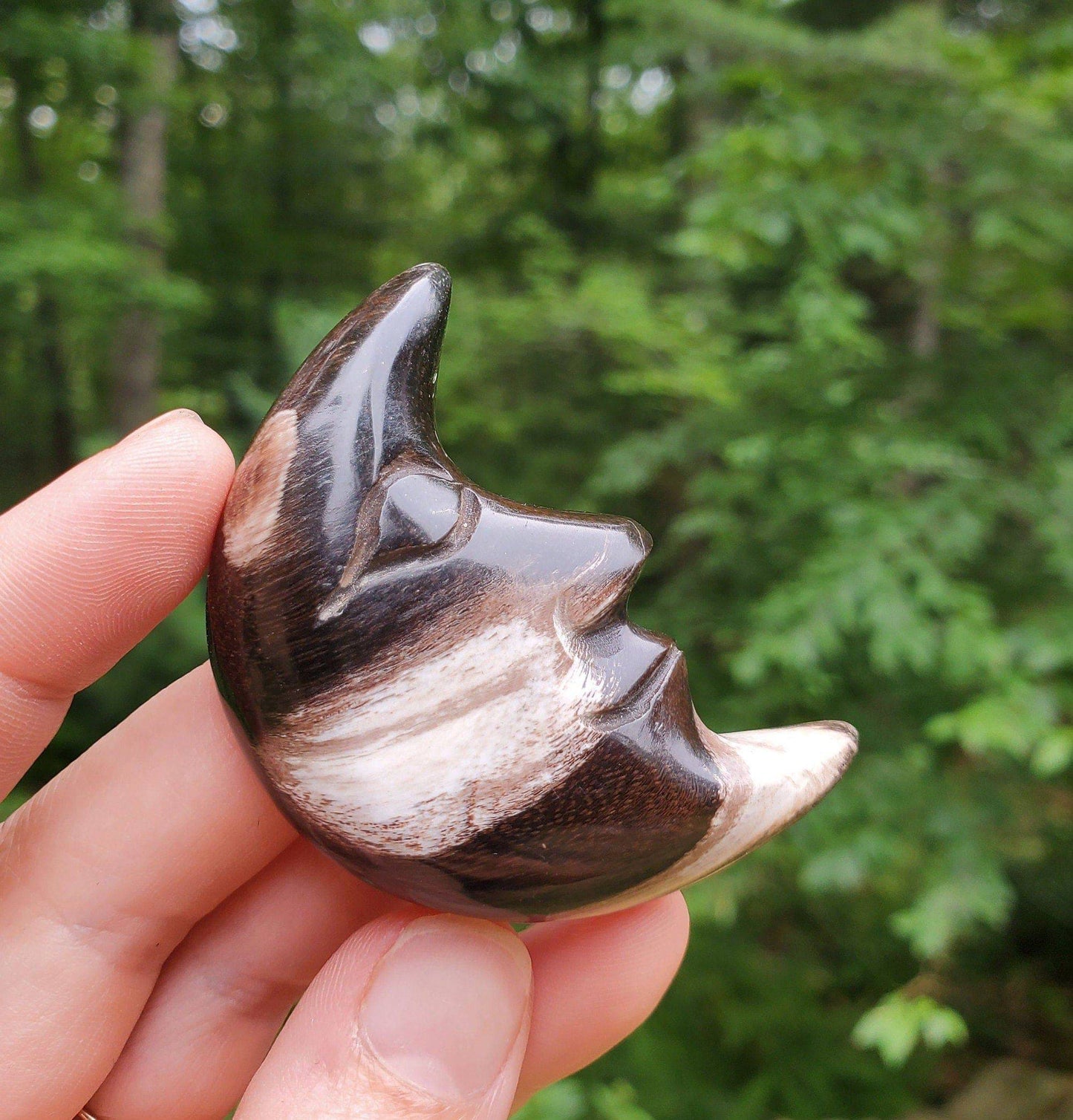 Hand Carved Petrified Wood Moon. Moon with Face. Fossilized Wood. Moon Palmstone. Meditation tool. Wood Carving. - EarthyElementStudio