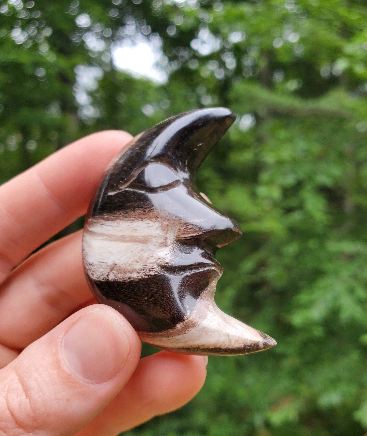 Hand Carved Petrified Wood Moon. Moon with Face. Fossilized Wood. Moon Palmstone. Meditation tool. Wood Carving. - EarthyElementStudio
