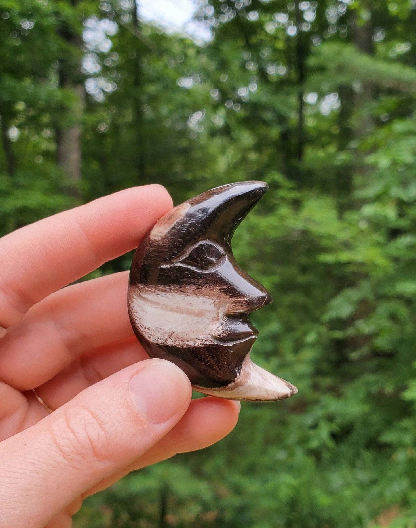 Hand Carved Petrified Wood Moon. Moon with Face. Fossilized Wood. Moon Palmstone. Meditation tool. Wood Carving. - EarthyElementStudio