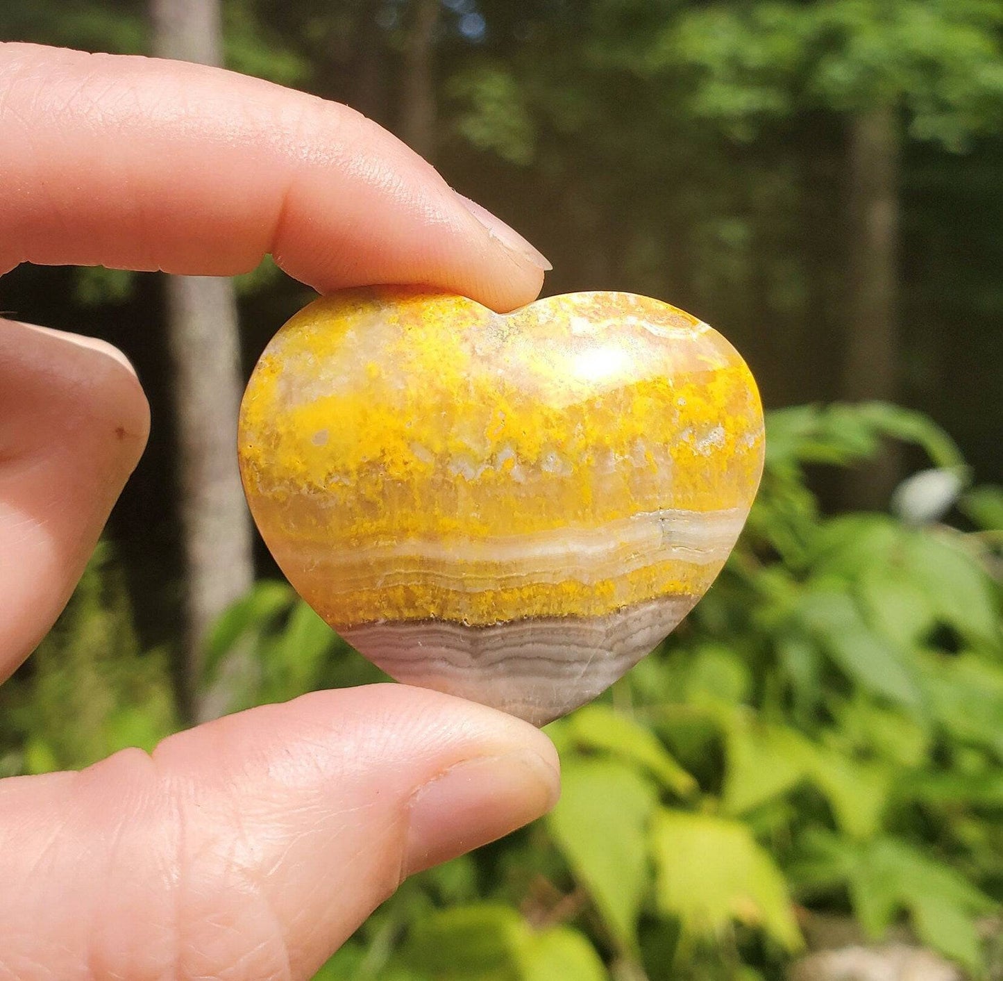 Beautiful Bumblebee Jasper Heart. Palm Stone. Yellow Jasper. Indonesian. - EarthyElementStudio