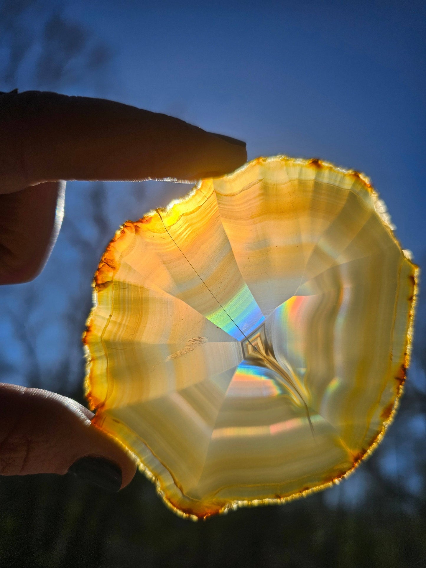 Gorgeous Dark Iris Agate slice - EarthyElementStudio