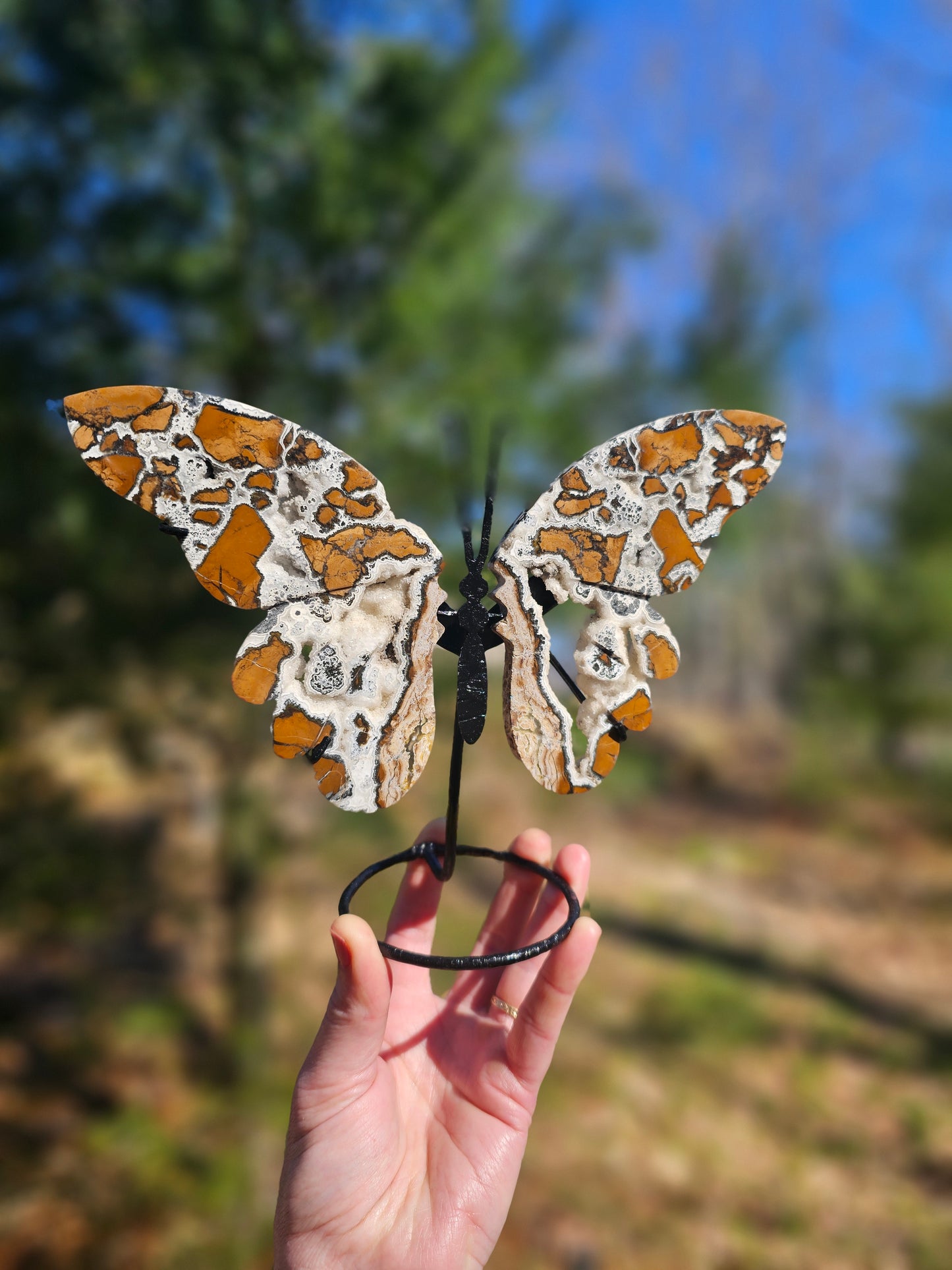 Brecciated Jasper Butterfly Carving. Crystal Home Decor. - EarthyElementStudio