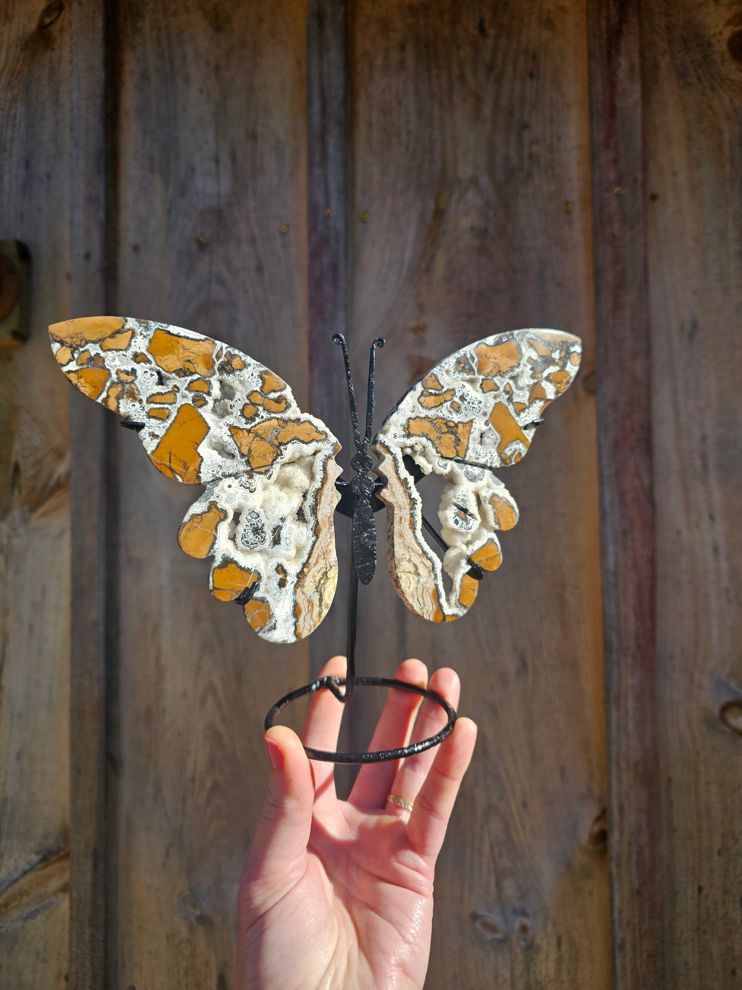 Brecciated Jasper Butterfly Carving. Crystal Home Decor. - EarthyElementStudio