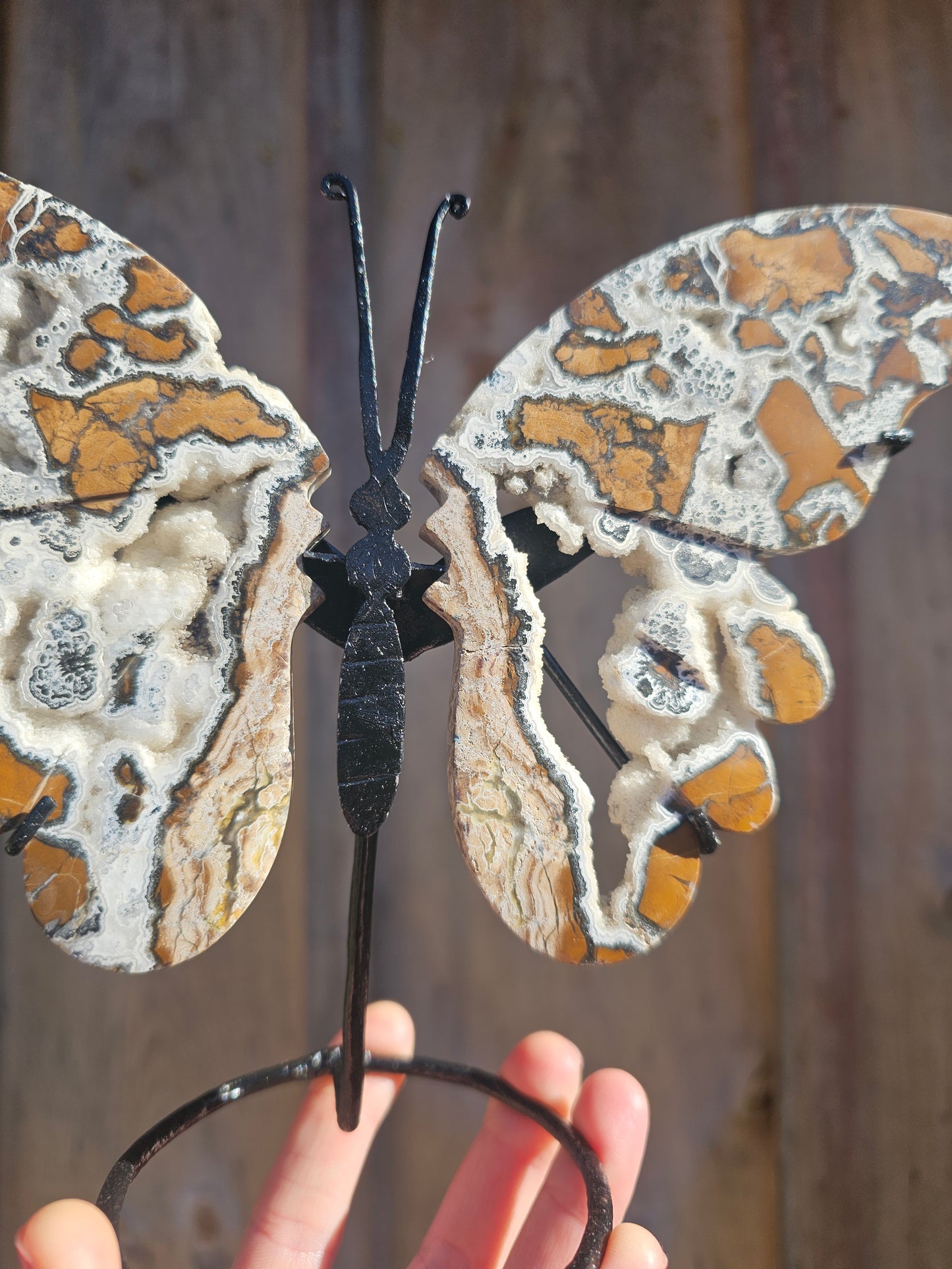 Brecciated Jasper Butterfly Carving. Crystal Home Decor. - EarthyElementStudio