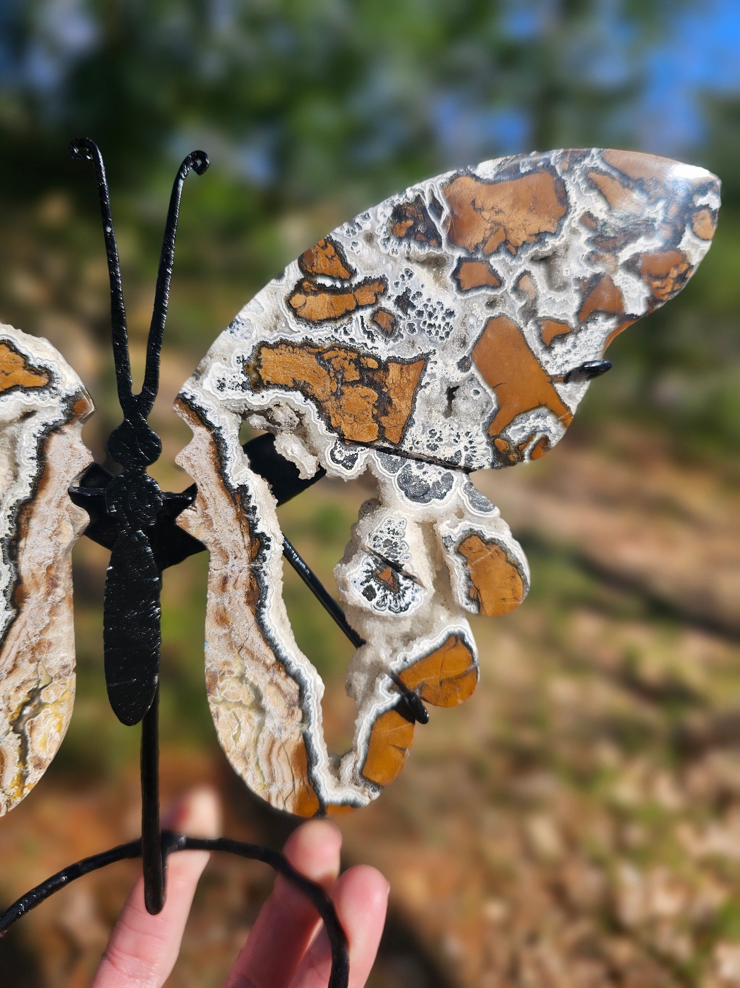 Brecciated Jasper Butterfly Carving. Crystal Home Decor. - EarthyElementStudio