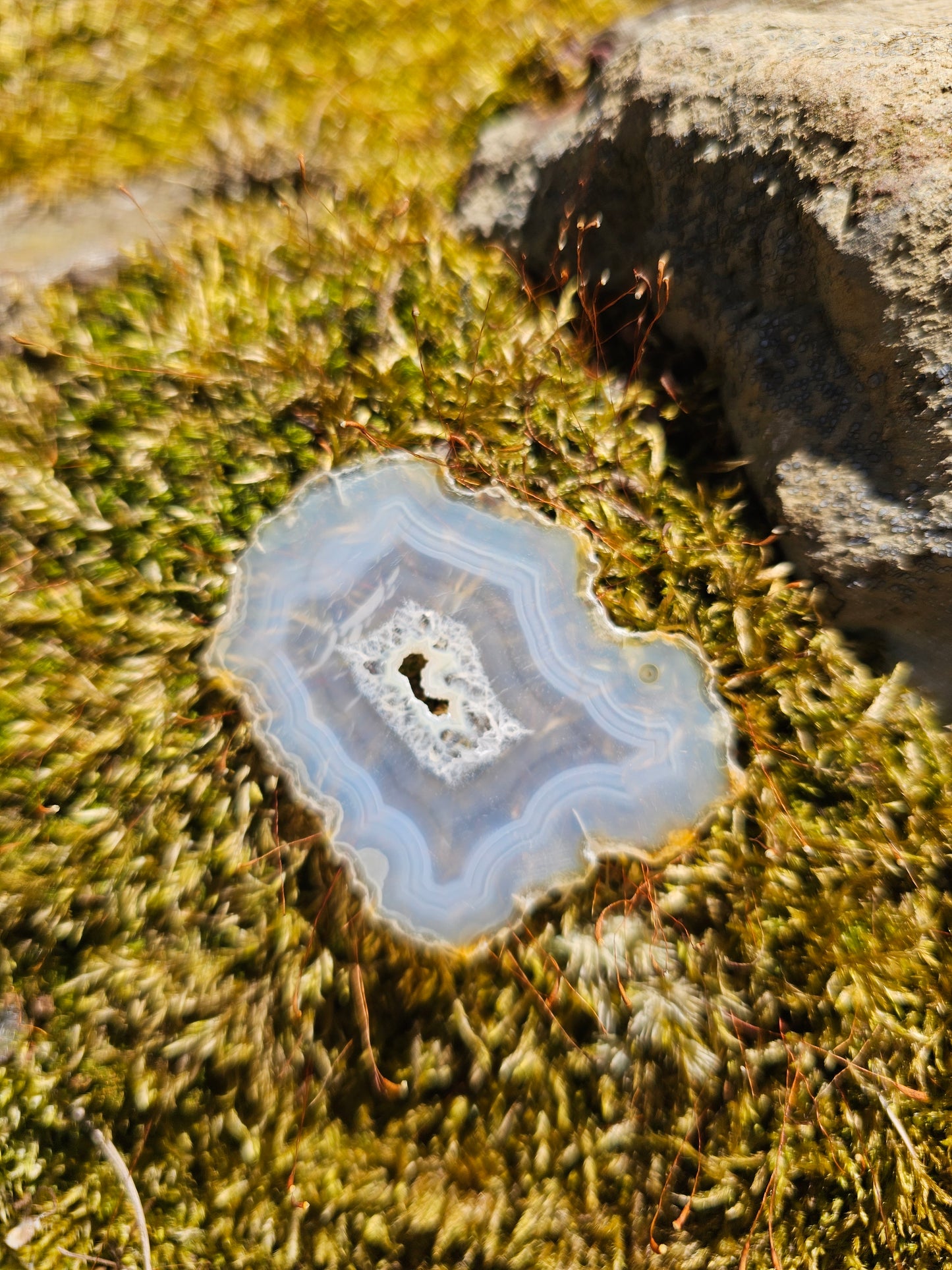 Iris Agate Slice. Crystal Home Decor - EarthyElementStudio