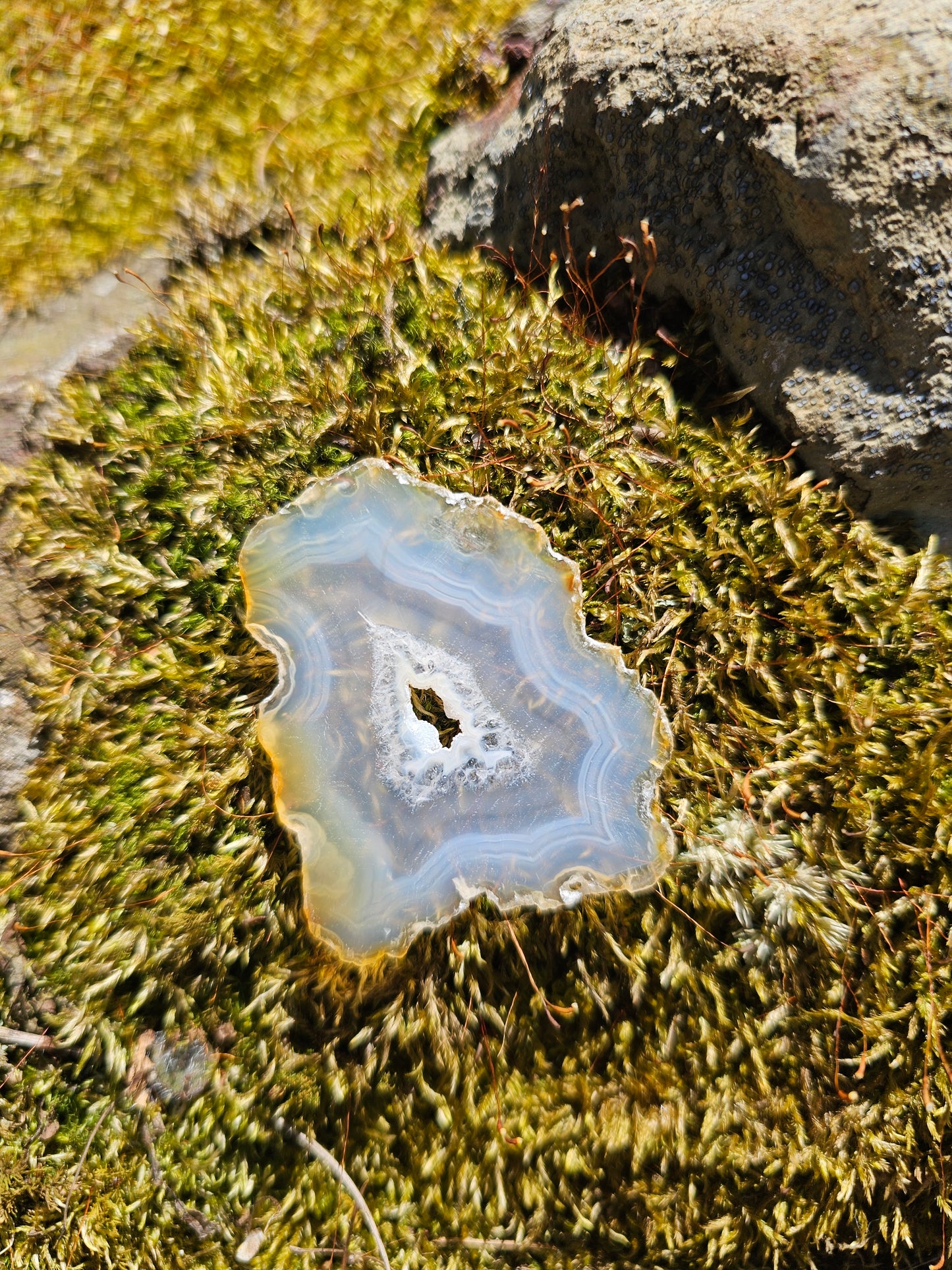 Iris Agate Slice. Crystal Home Decor - EarthyElementStudio