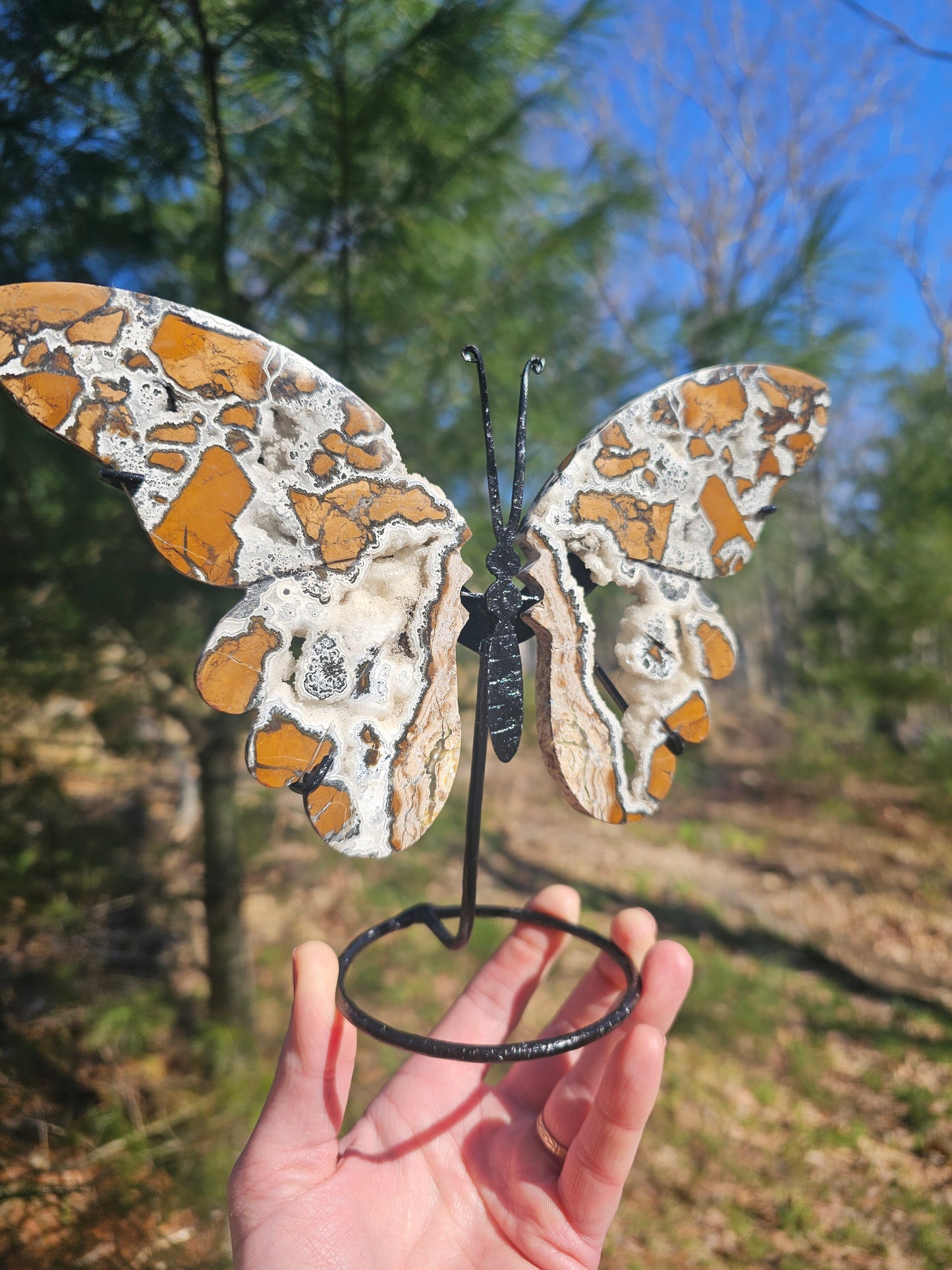 Brecciated Jasper Butterfly Carving. Crystal Home Decor. - EarthyElementStudio