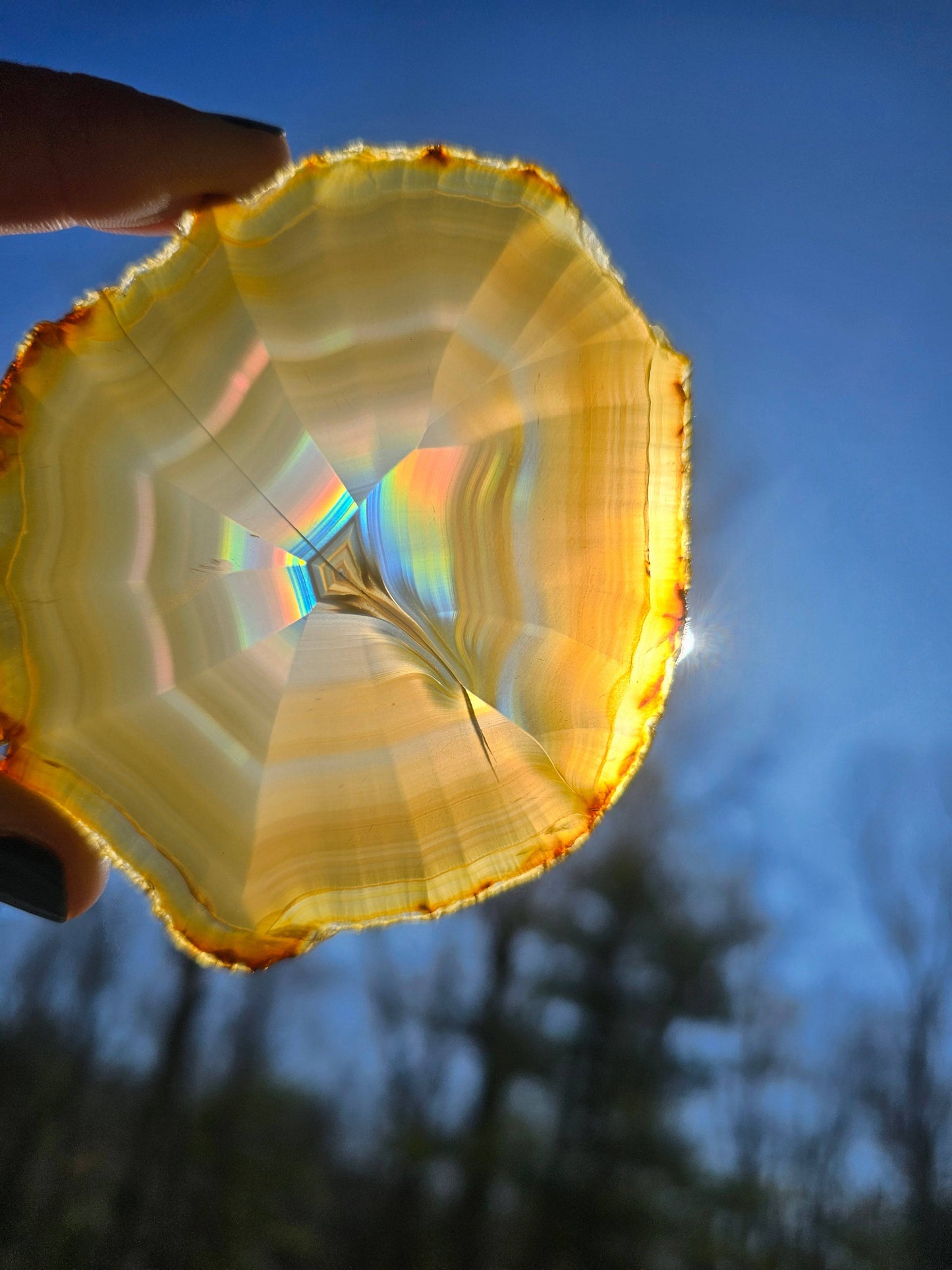 Gorgeous Dark Iris Agate slice - EarthyElementStudio