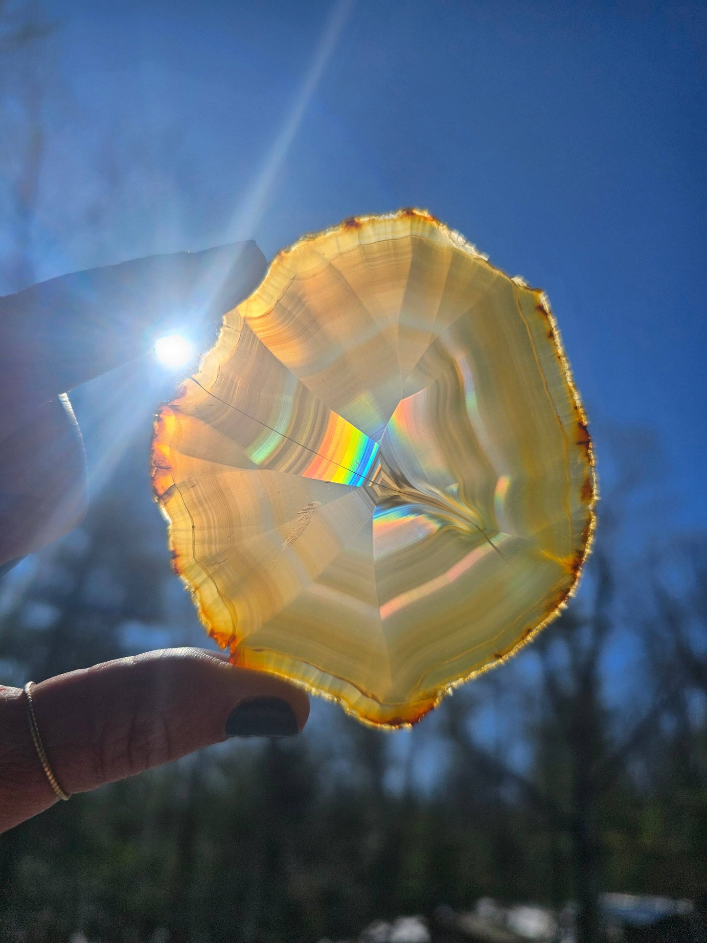 Gorgeous Dark Iris Agate slice - EarthyElementStudio