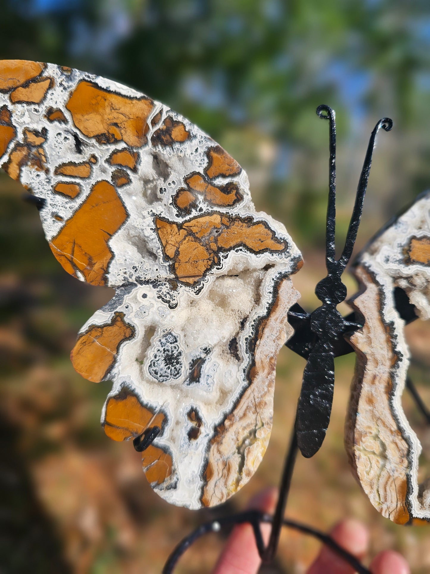 Brecciated Jasper Butterfly Carving. Crystal Home Decor. - EarthyElementStudio