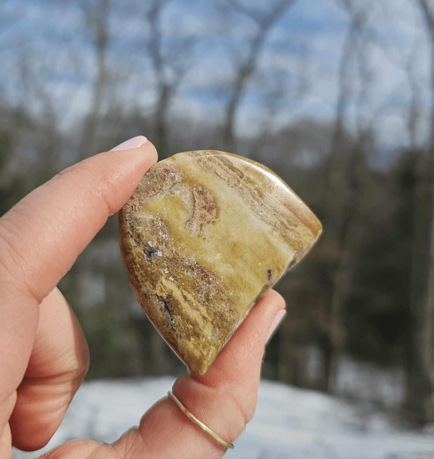 Blue Opalized Petrified Wood Slice. - EarthyElementStudio