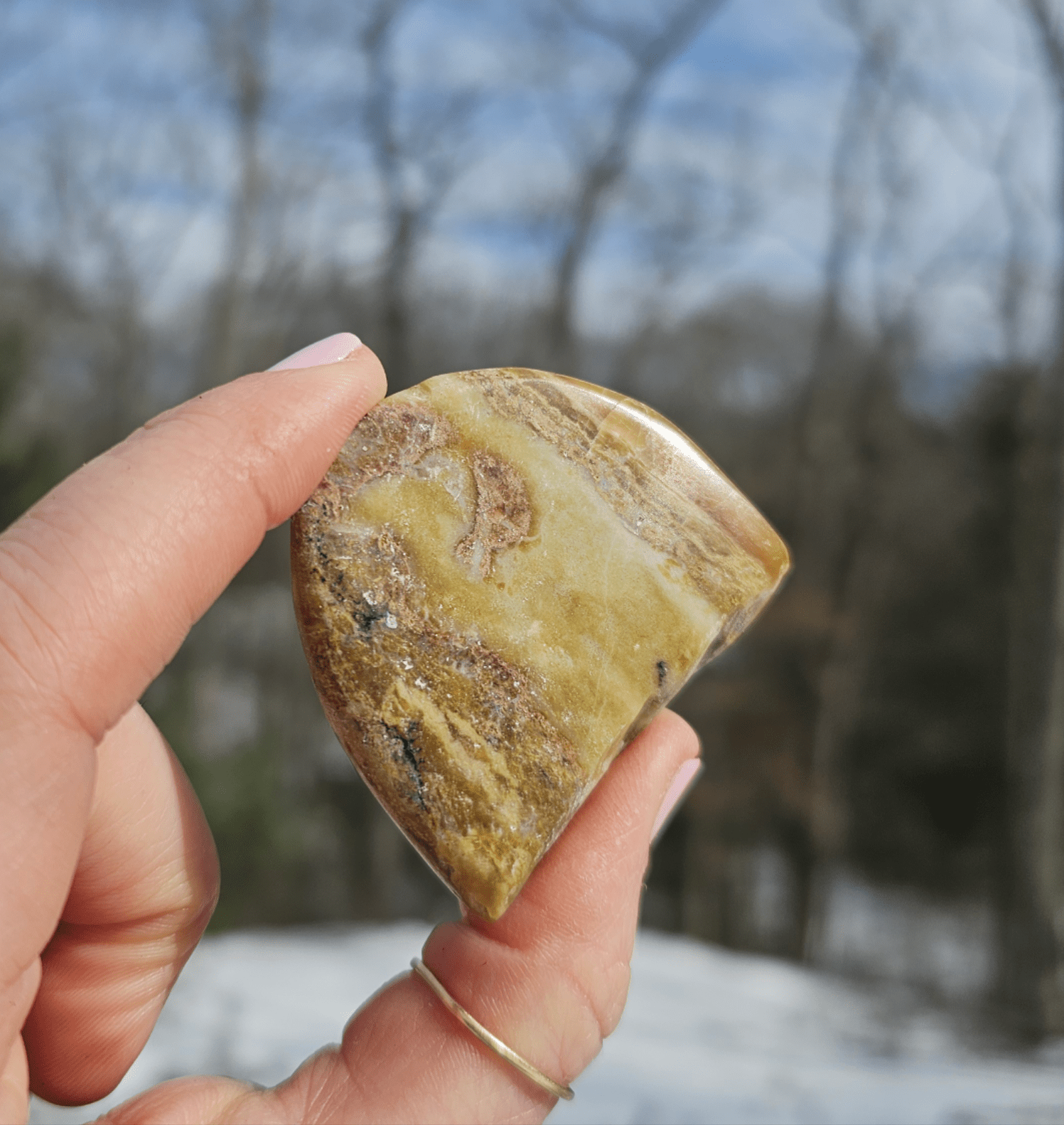 Blue Opalized Petrified Wood Slice. - EarthyElementStudio