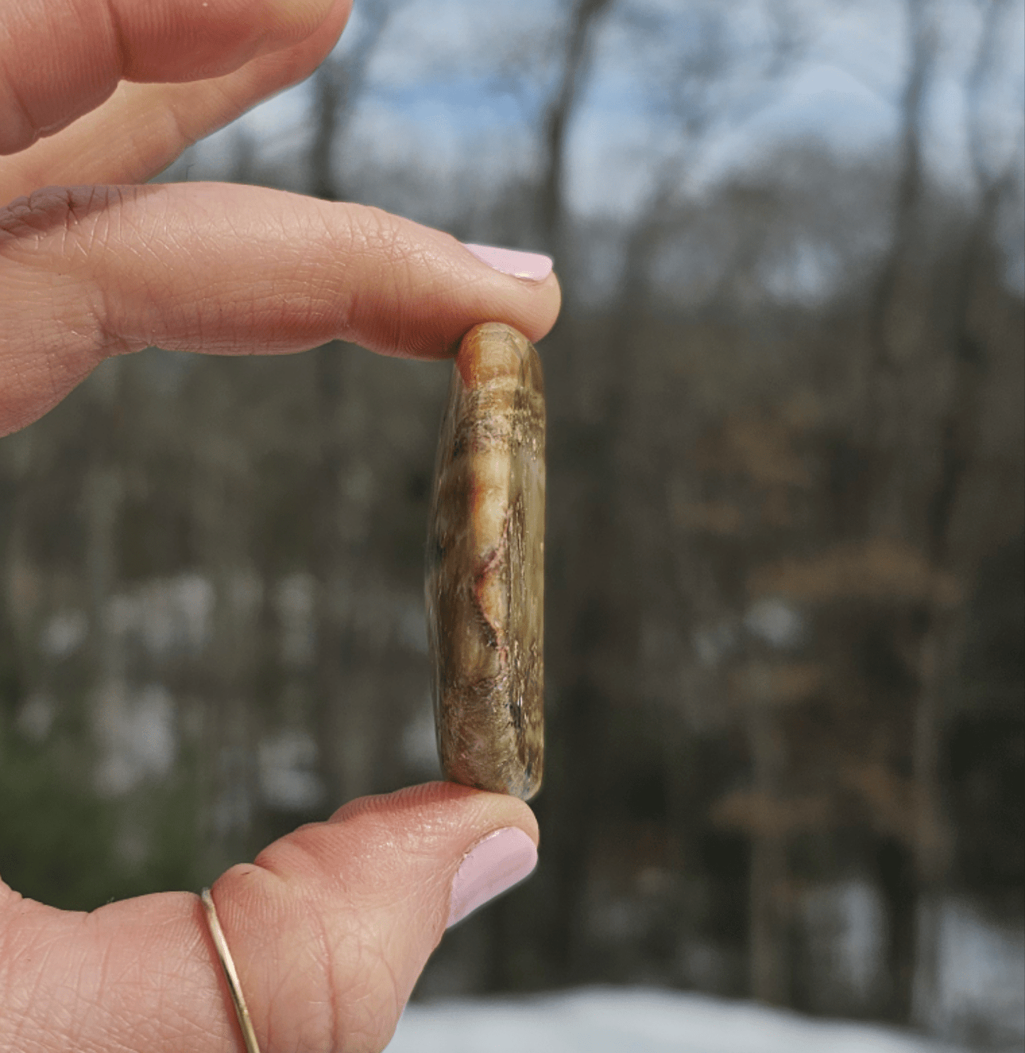 Blue Opalized Petrified Wood Slice. - EarthyElementStudio