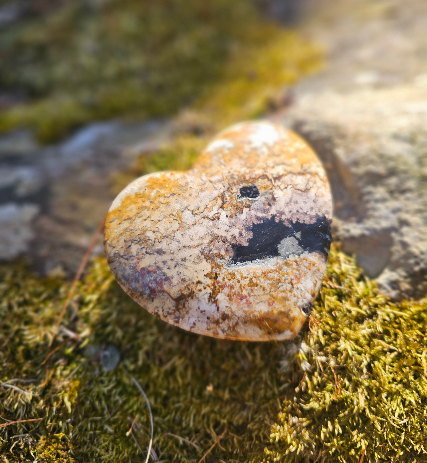 Large Petrified Wood Heart. Crystal home decor - EarthyElementStudio