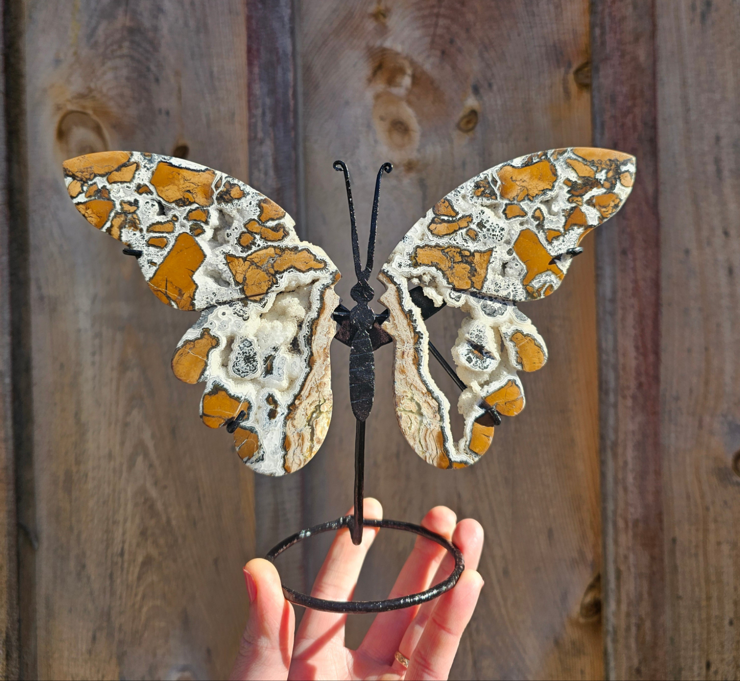 Brecciated Jasper Butterfly Carving. Crystal Home Decor. - EarthyElementStudio