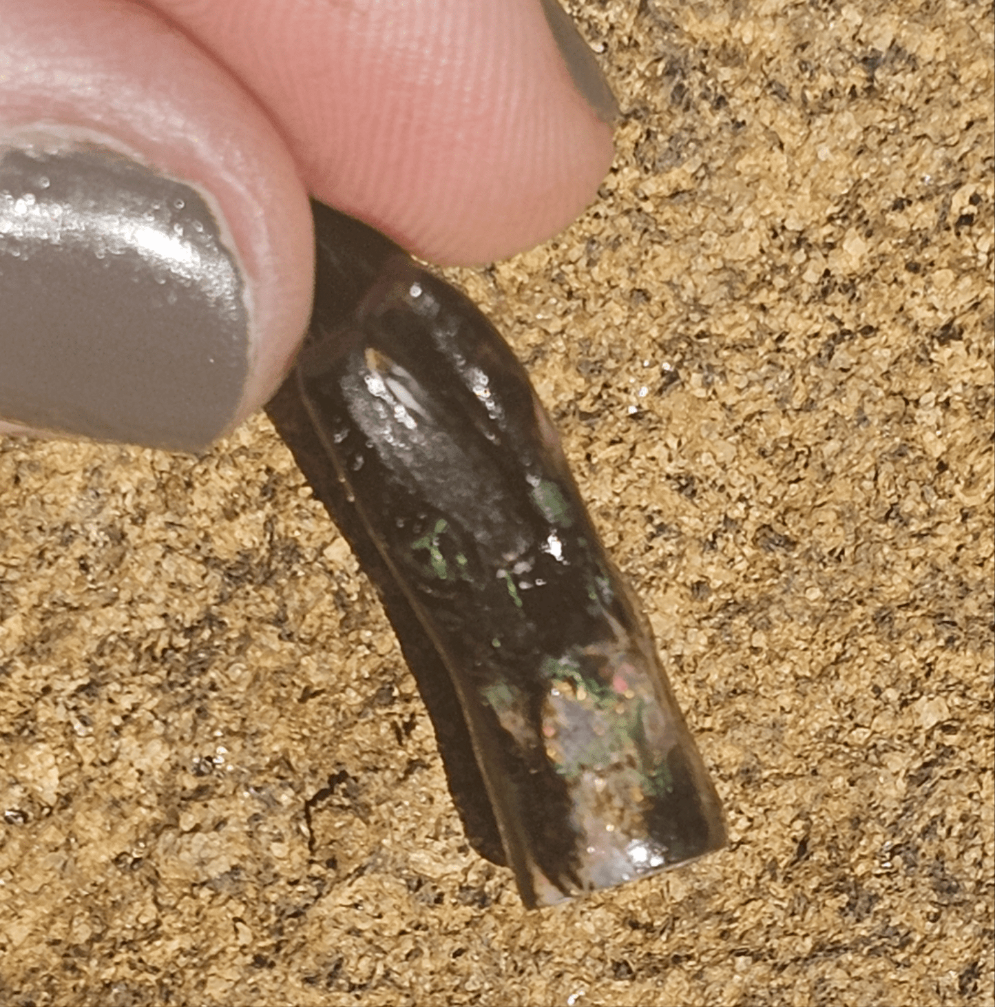 Opalized Petrified Branch PIECE. - EarthyElementStudio