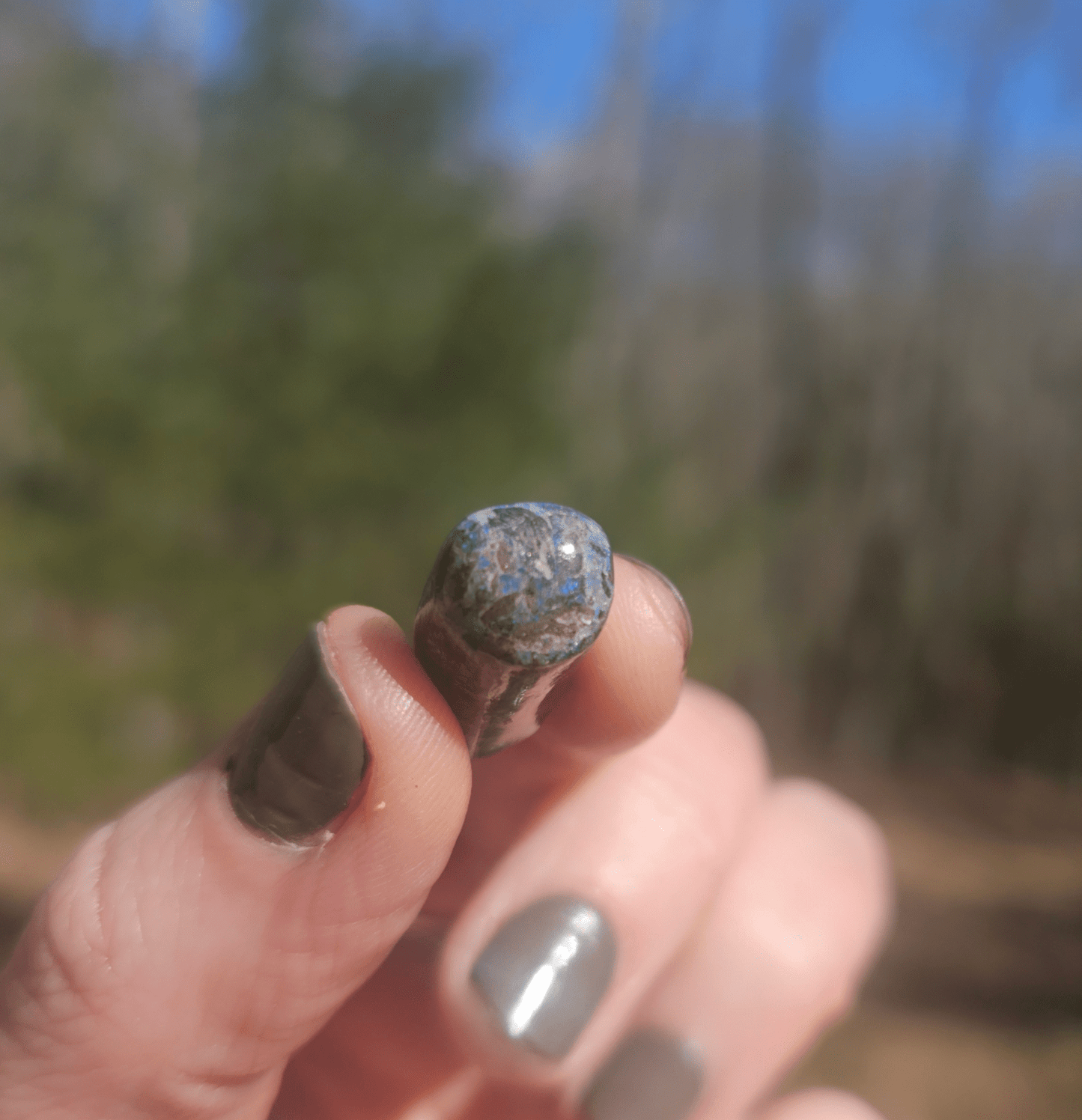 Opalized Petrified Branch PIECE. - EarthyElementStudio