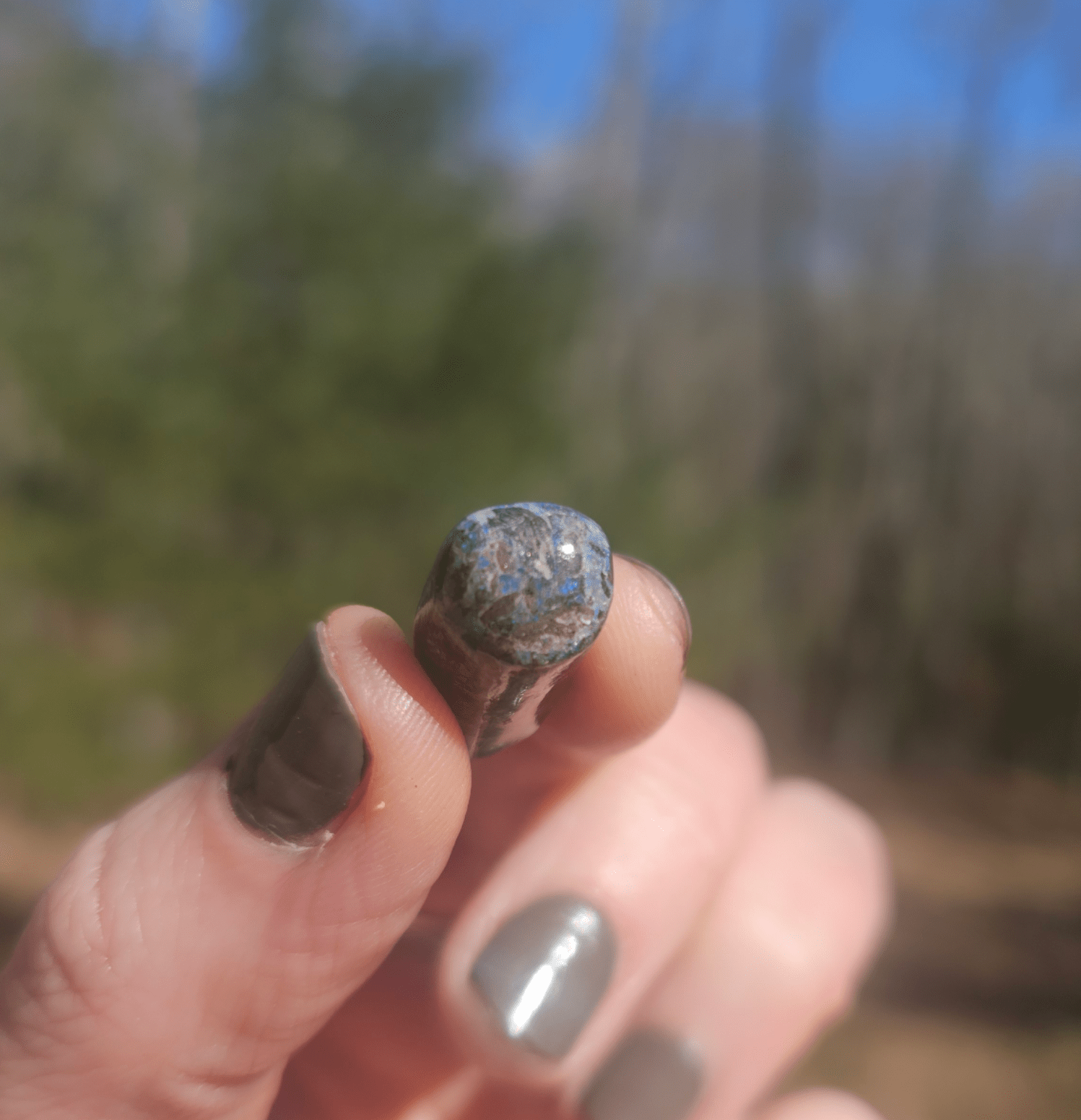 Opalized Petrified Branch PIECE. - EarthyElementStudio