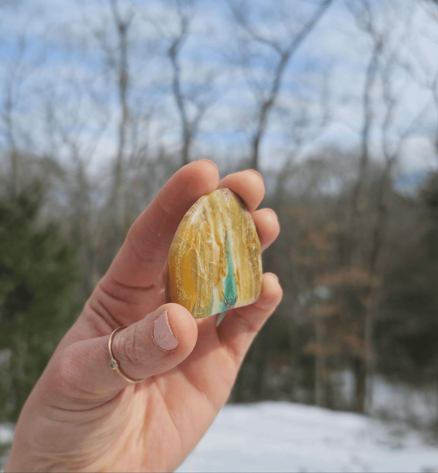 Blue Opalized Petrified Wood Slice. - EarthyElementStudio