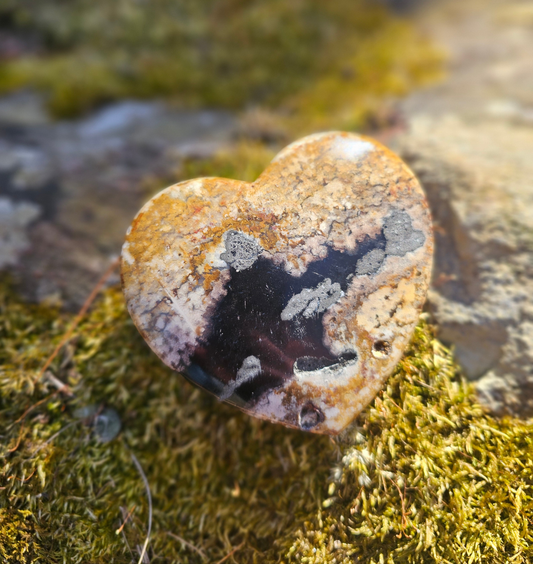 Large Petrified Wood Heart. Crystal home decor - EarthyElementStudio