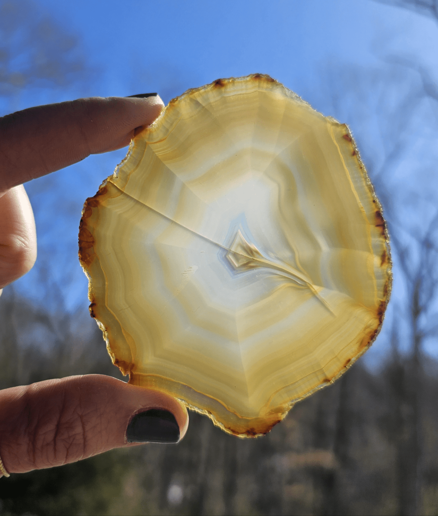 Gorgeous Dark Iris Agate slice - EarthyElementStudio