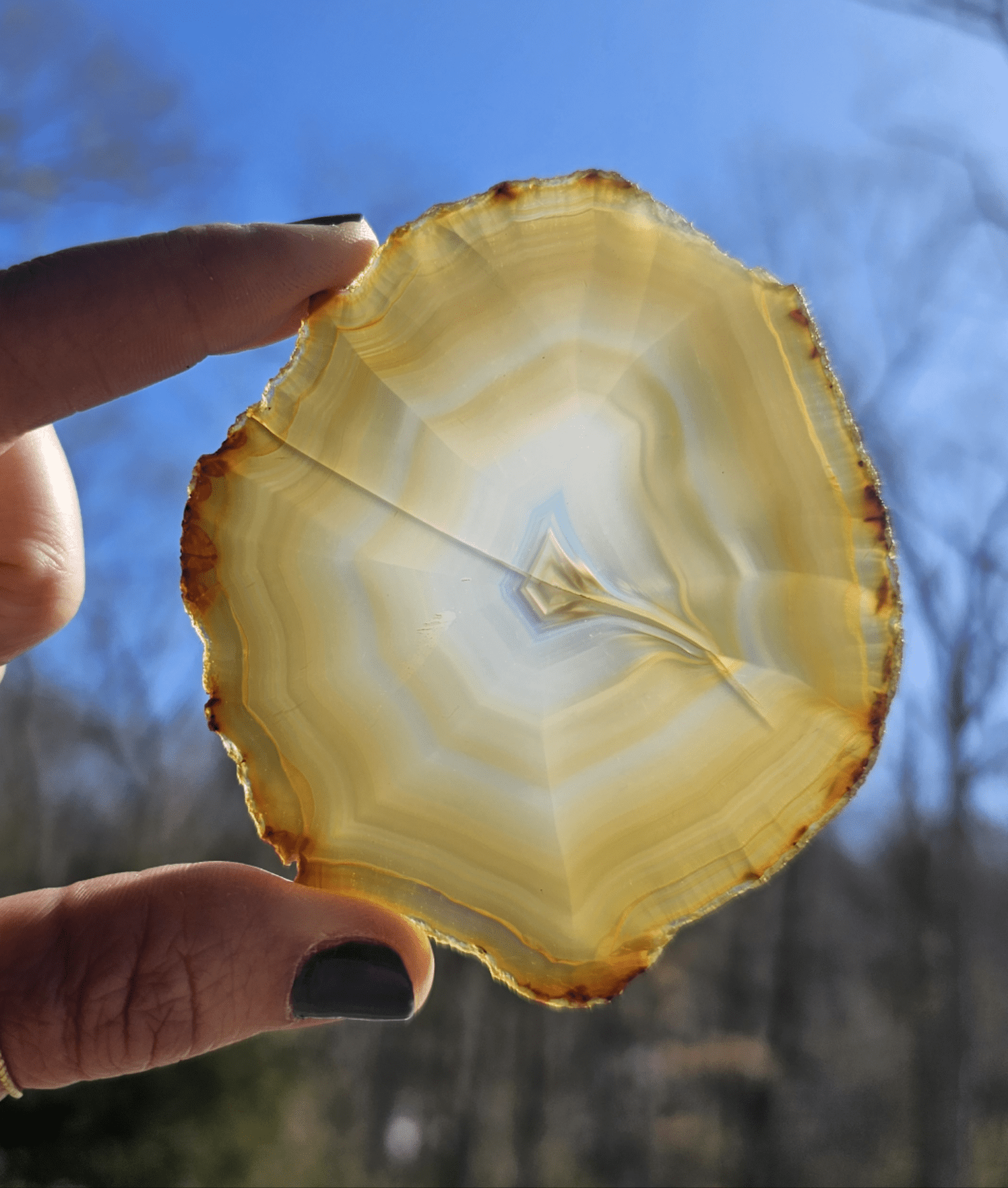 Gorgeous Dark Iris Agate slice - EarthyElementStudio