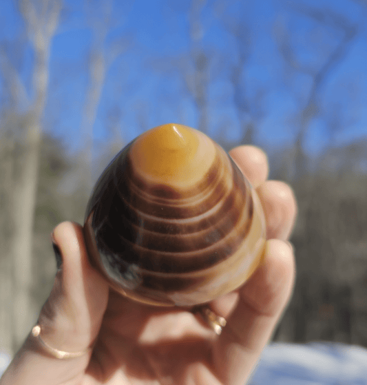 Large Sardonyx Agate. Eye of Shiva - EarthyElementStudio