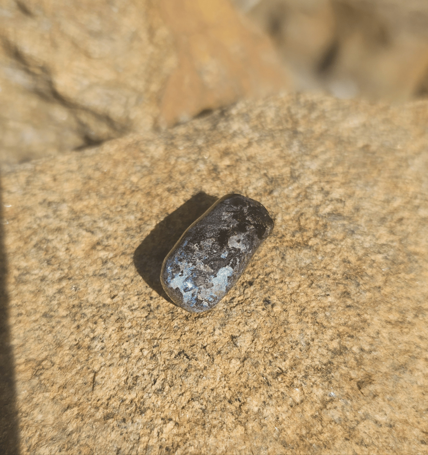 Opalized Petrified Branch PIECE. - EarthyElementStudio