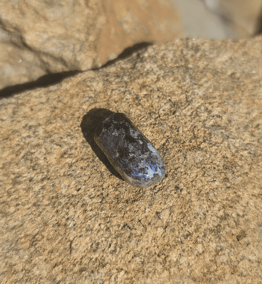 Opalized Petrified Branch PIECE. - EarthyElementStudio