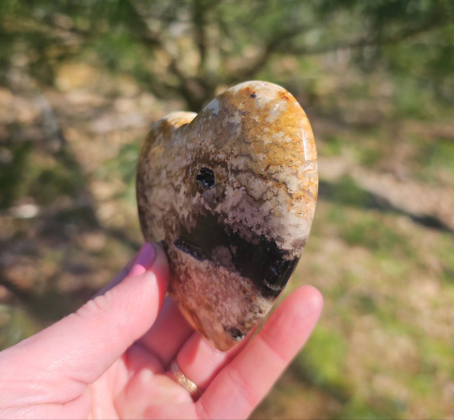 Large Petrified Wood Heart. Crystal home decor - EarthyElementStudio