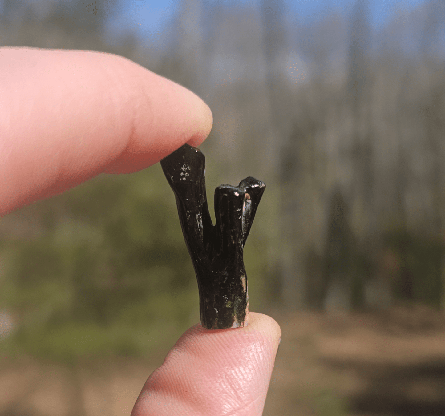 Opalized Petrified Branch PIECE. - EarthyElementStudio