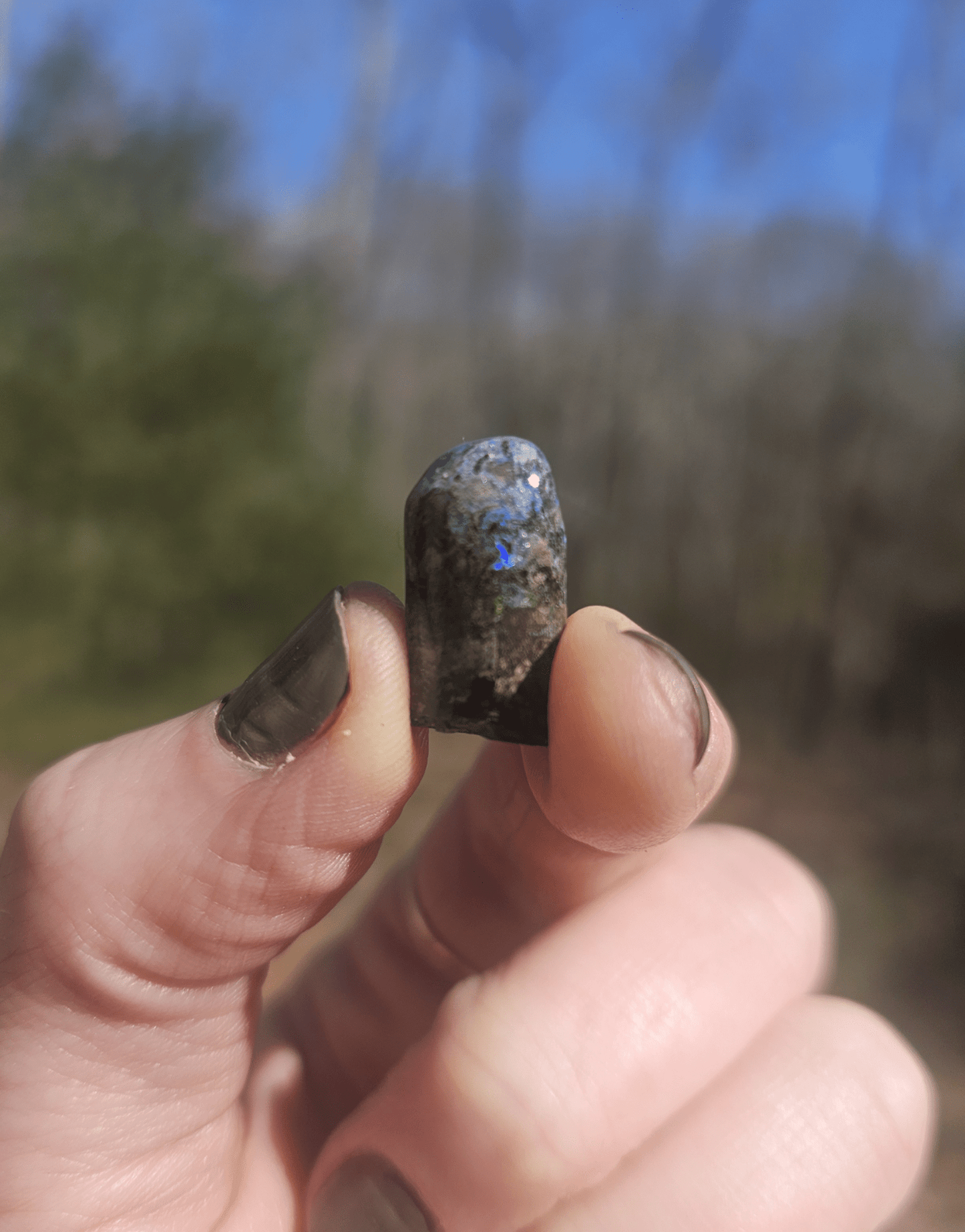 Opalized Petrified Branch PIECE. - EarthyElementStudio