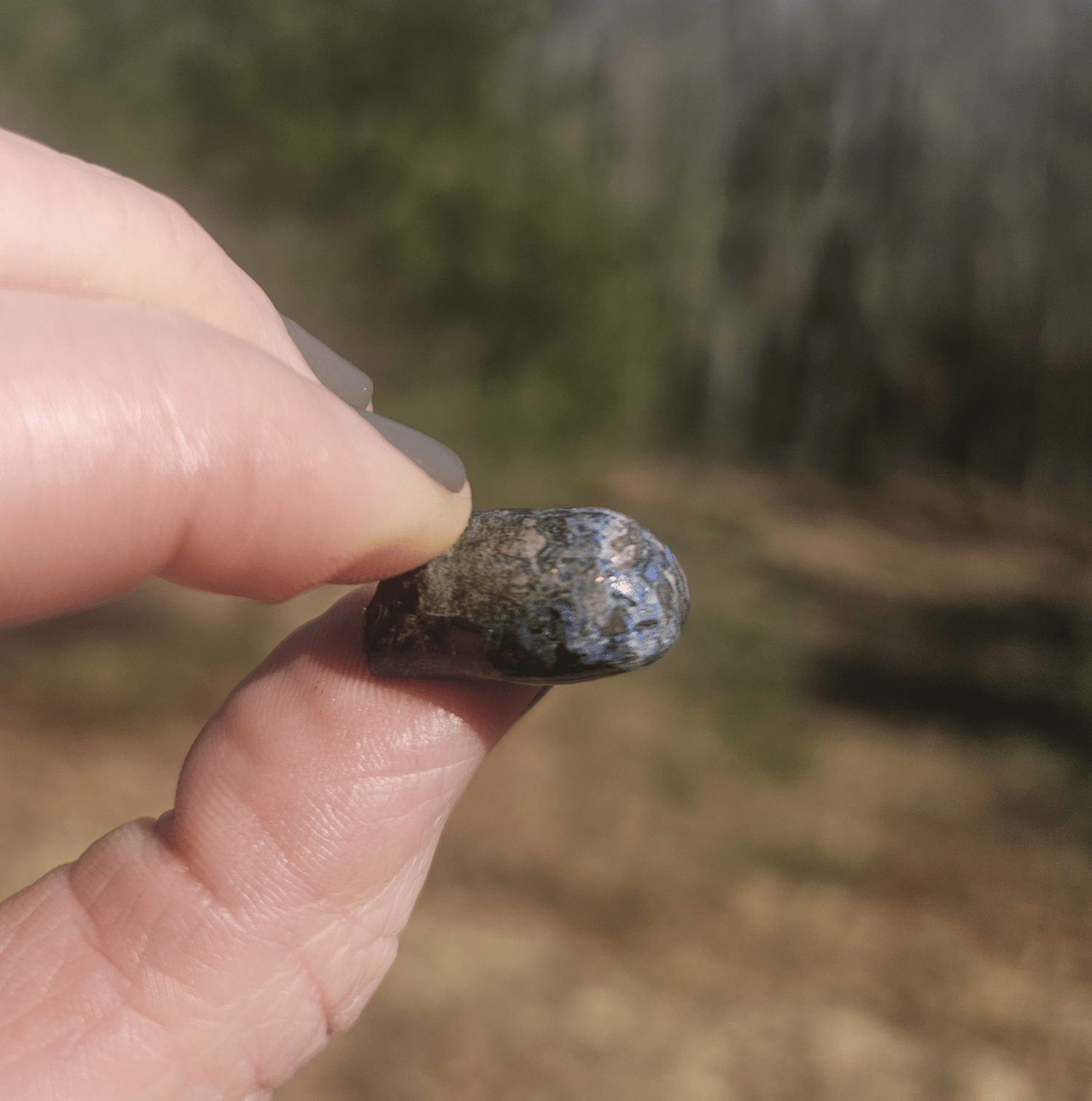 Opalized Petrified Branch PIECE. - EarthyElementStudio